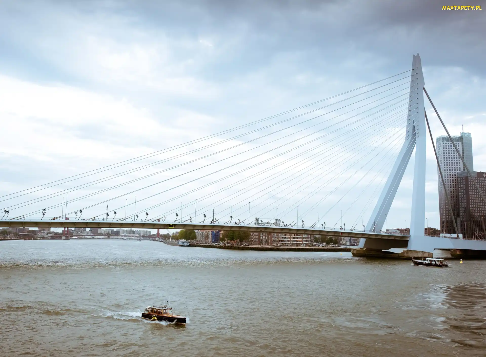 Rzeka, Holandia, Erasmus Bridge, Rotterdam