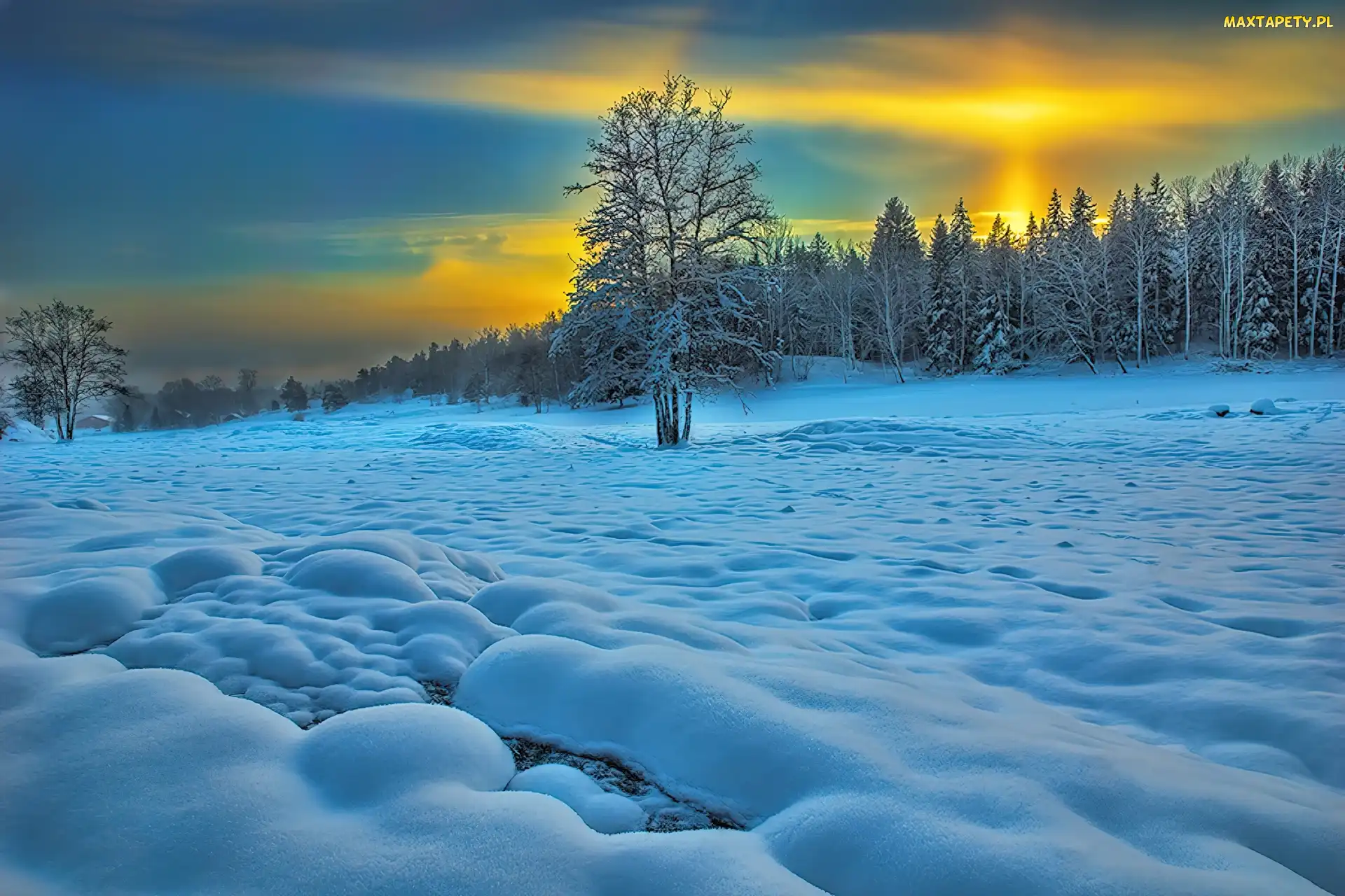 Słońca, Zima, Śnieg, Las, Zachód