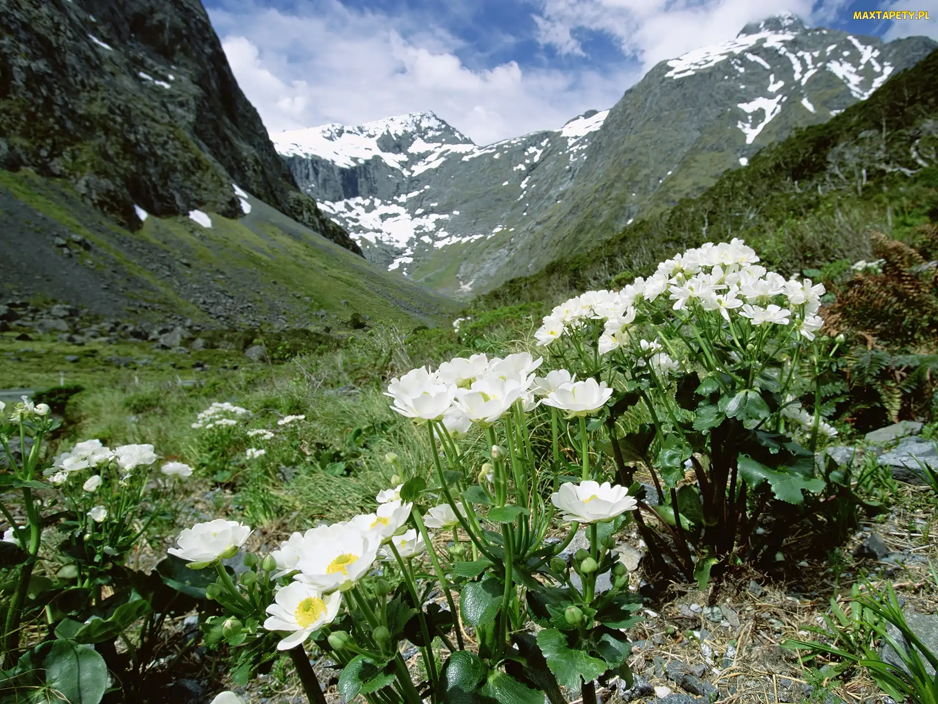 Fjordland National Park, Góry, Jaskry, Wysokogórskie