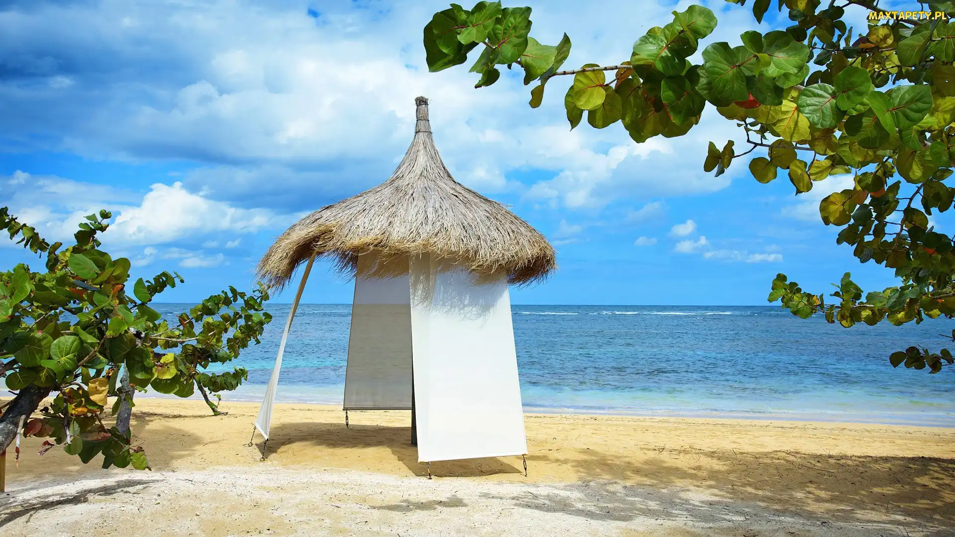 Plaża, Namiot, Morze