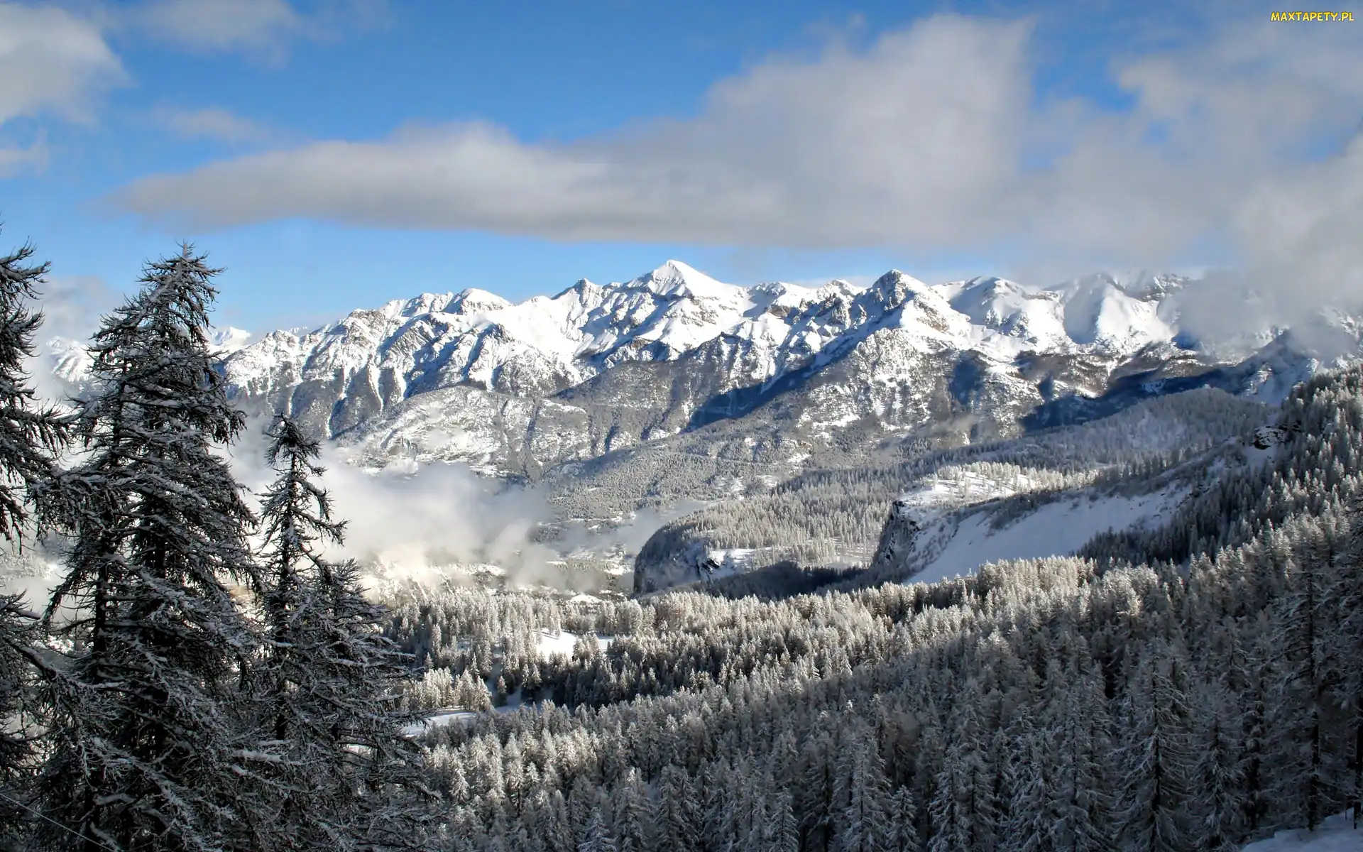Chmury, Choinki, Góry