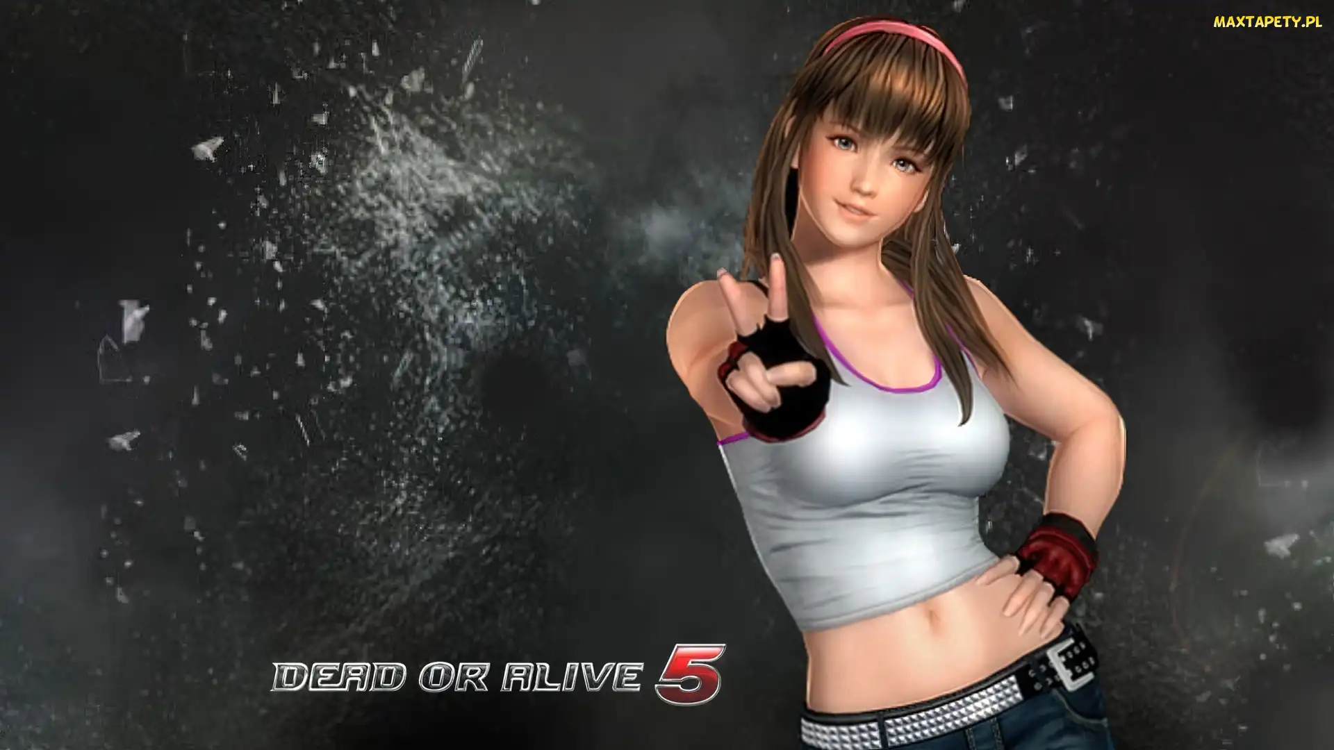 Dead Of Alive 5, Hitomi
