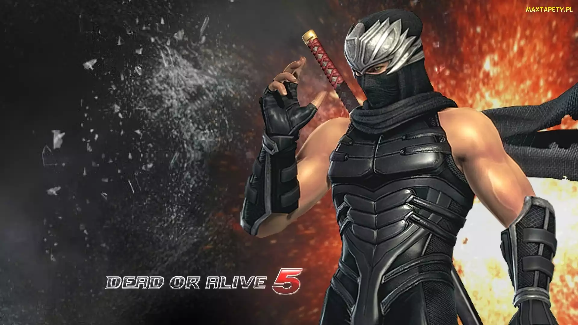 Ryu Hayabusa, Dead Of Alive 5
