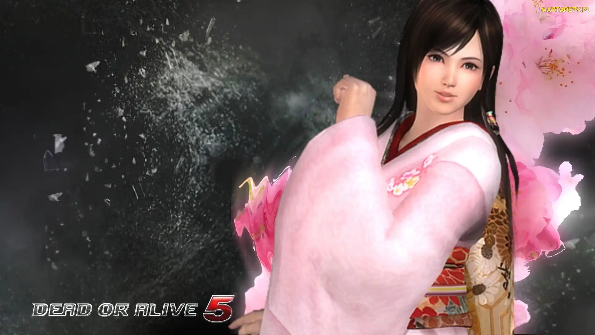 Kokoro, Dead Of Alive 5