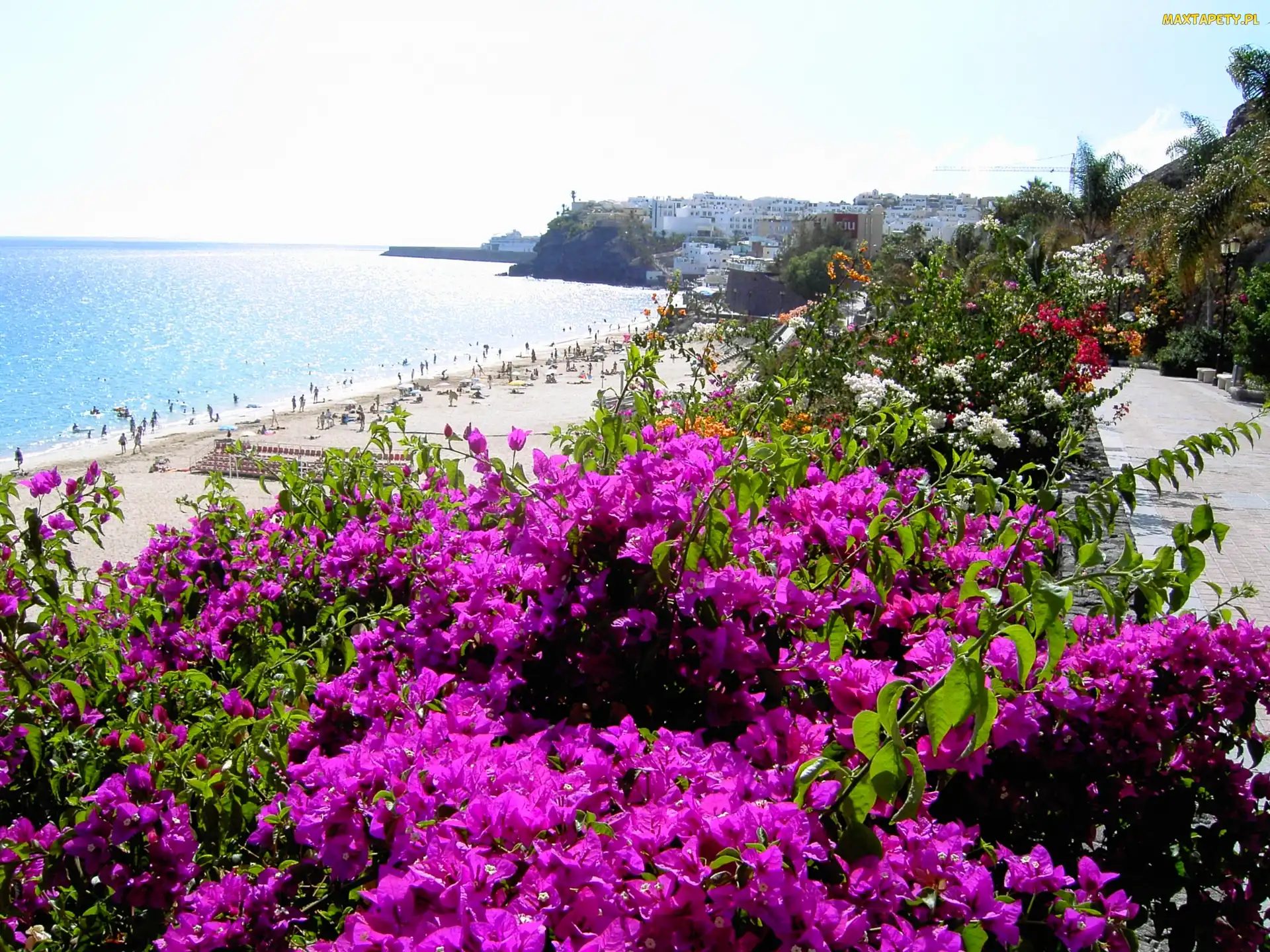 Hiszpania, Kwiaty, Morze, Plaża