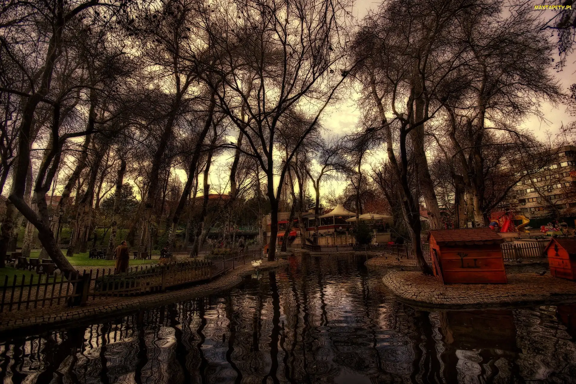 Park, Woda, Ławki, Drzewa