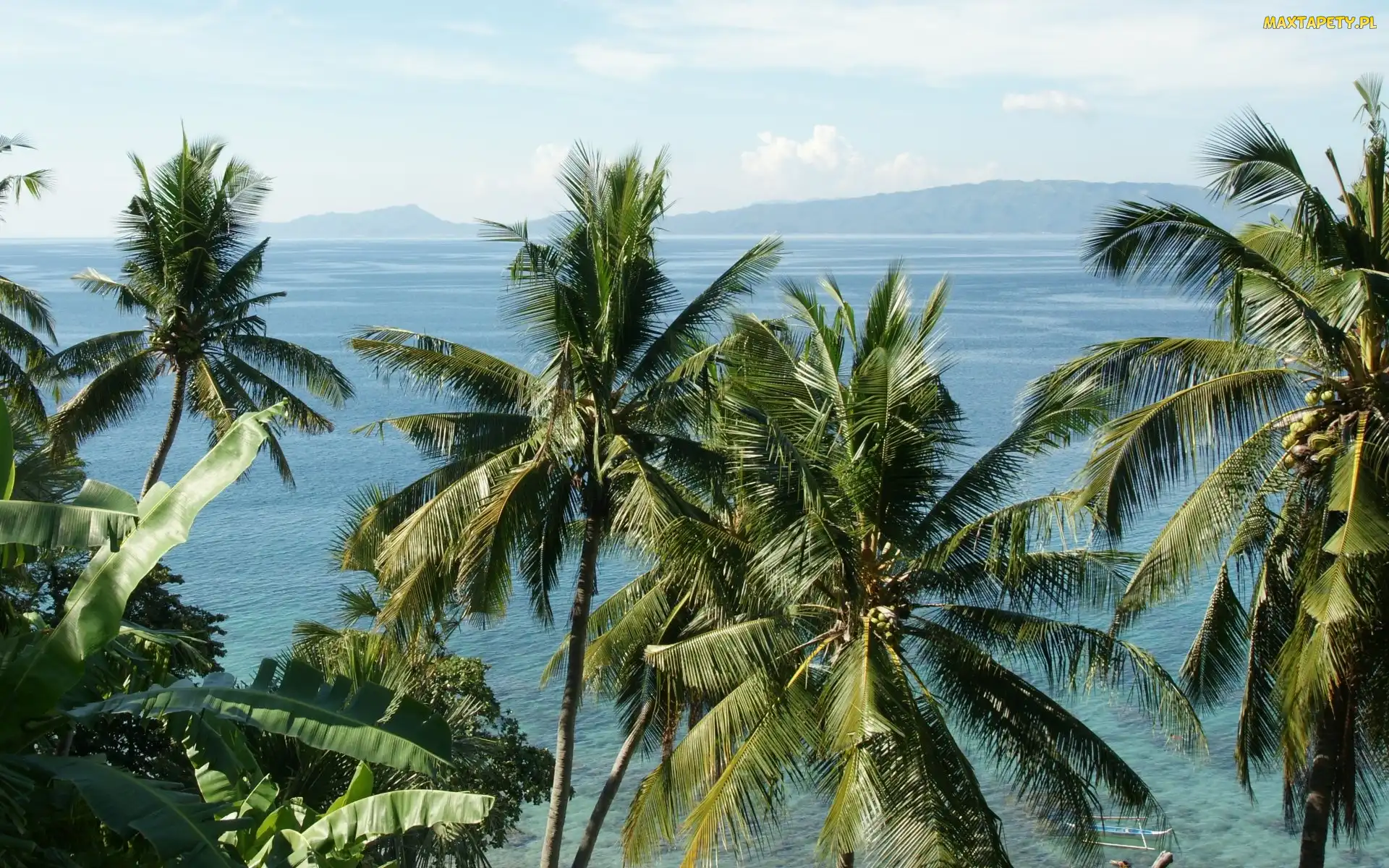 Palmy, Filipiny, Ocean