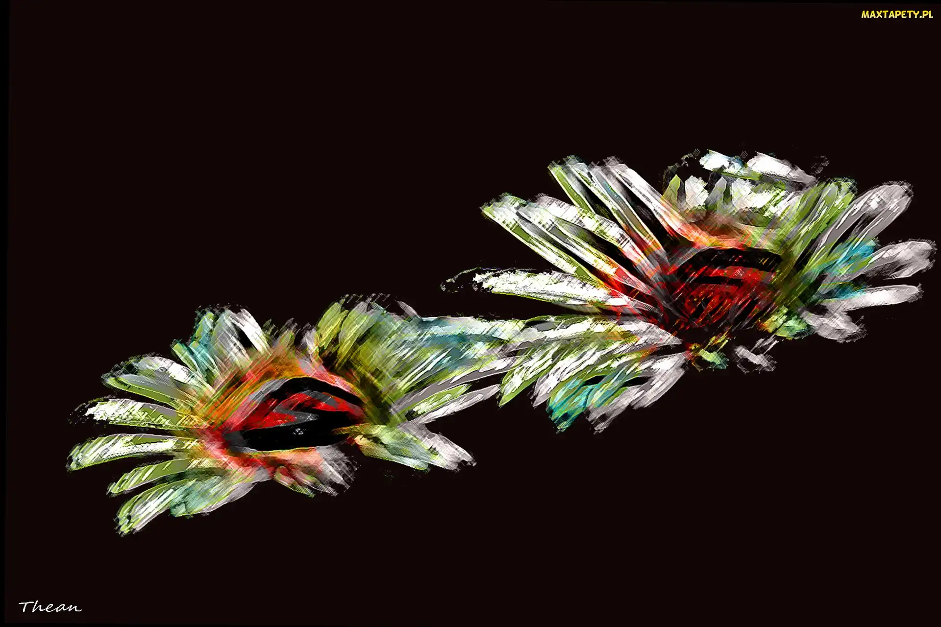 Kwiaty, Fractalius