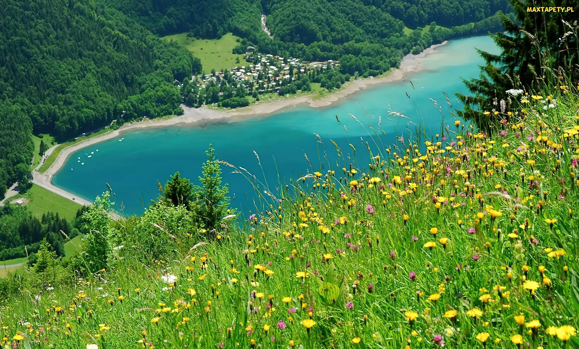 Szwajcaria, Glarus, Jezioro, Łąka, Zalesione, Góry