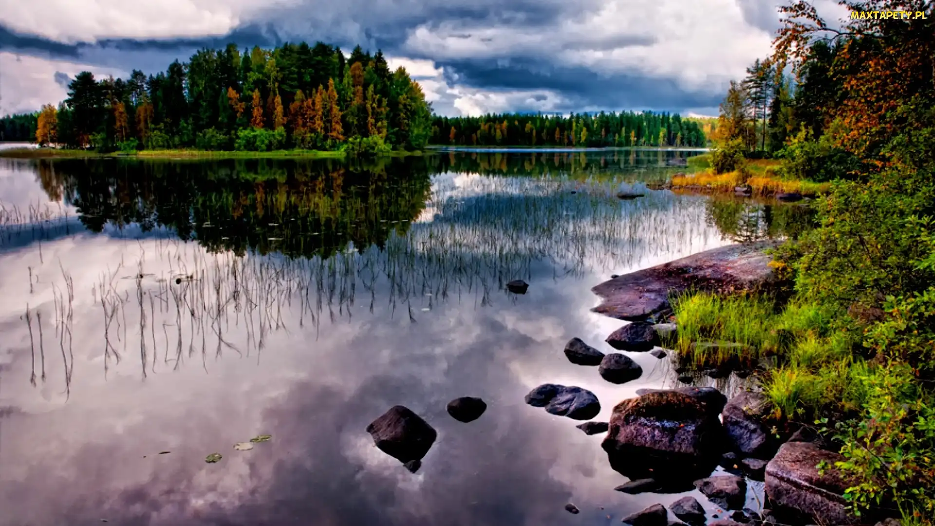 Jezioro, Kamienie, Lasy