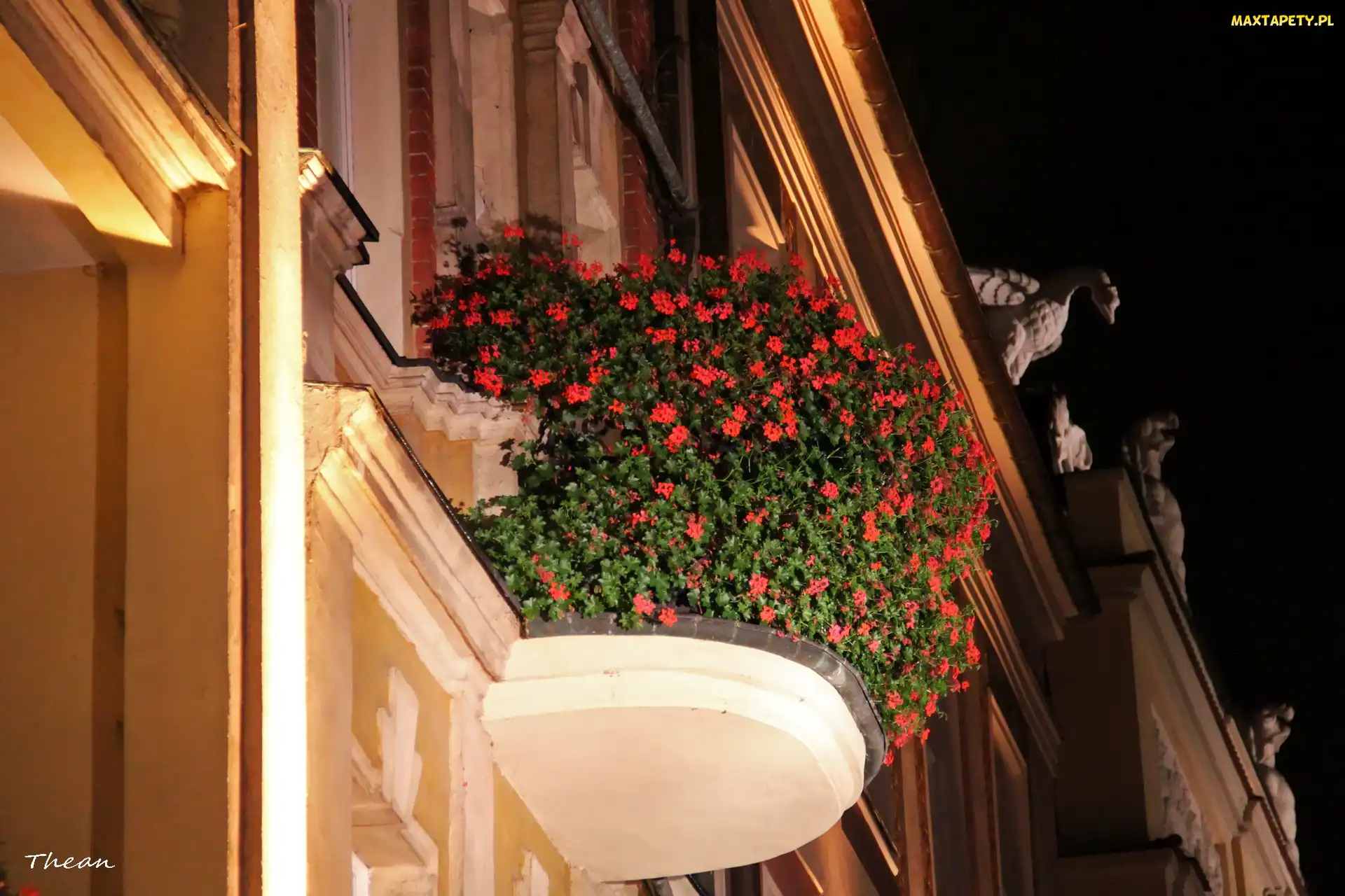 Ukwiecony, Balkon, Starówka, Noc, Poznań, Budynki