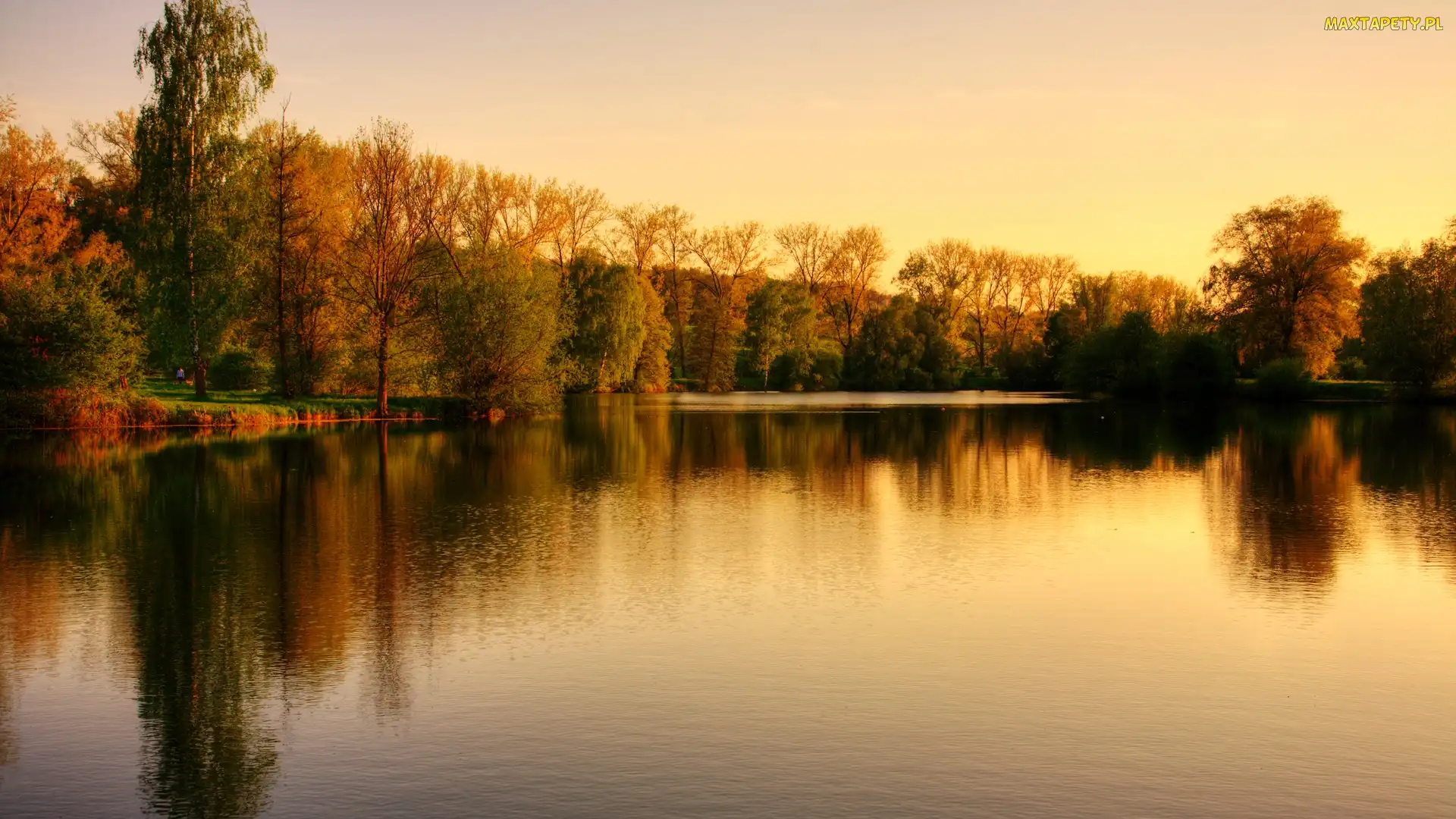 Drzewa, Park, Jezioro