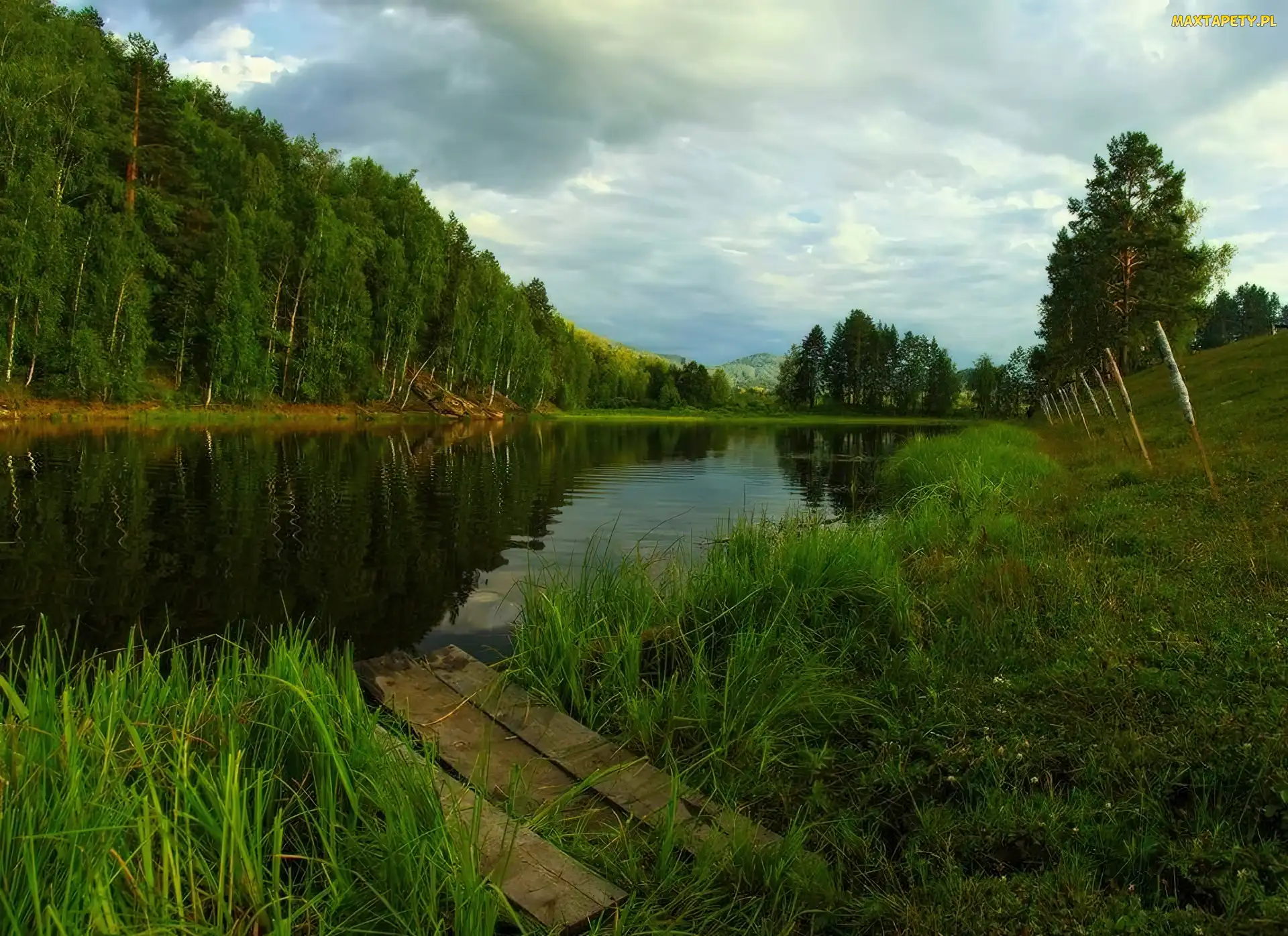 Rzeka, Trawy, Krzewy, Pomost, Las