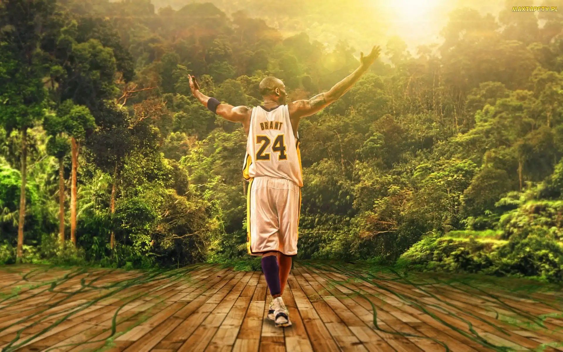 Koszykarz, Kobe Bryant, Dżungla