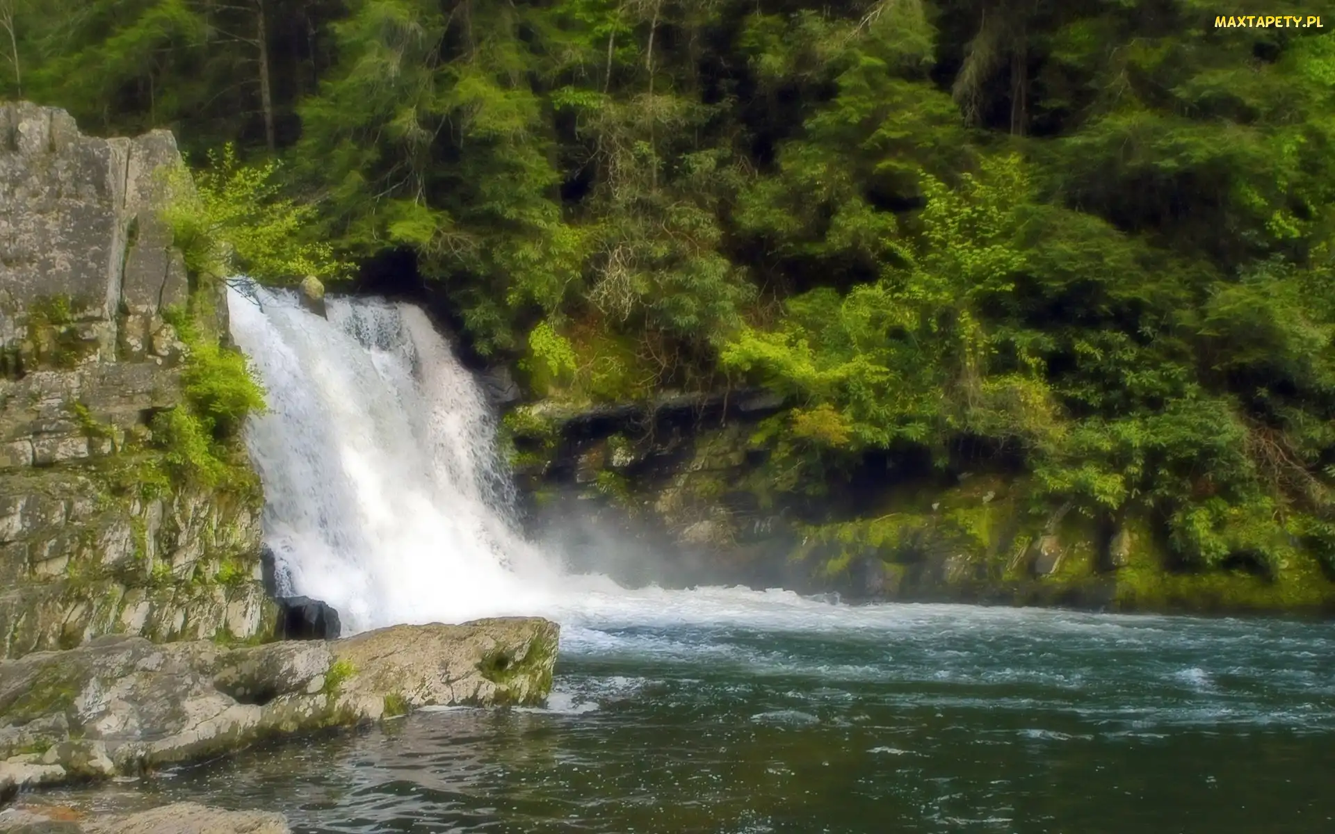 Wodospad, Tennessee, Las, Rzeka