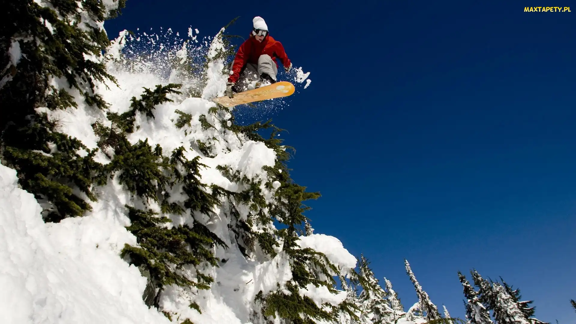 Śnieg, Choinki, Snowboardzista