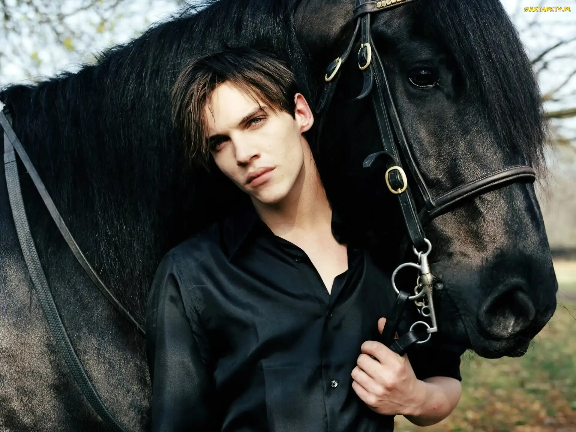Koń, Czarny, Aktor, Jonathan, Rhys, Meyers, Mężczyzna
