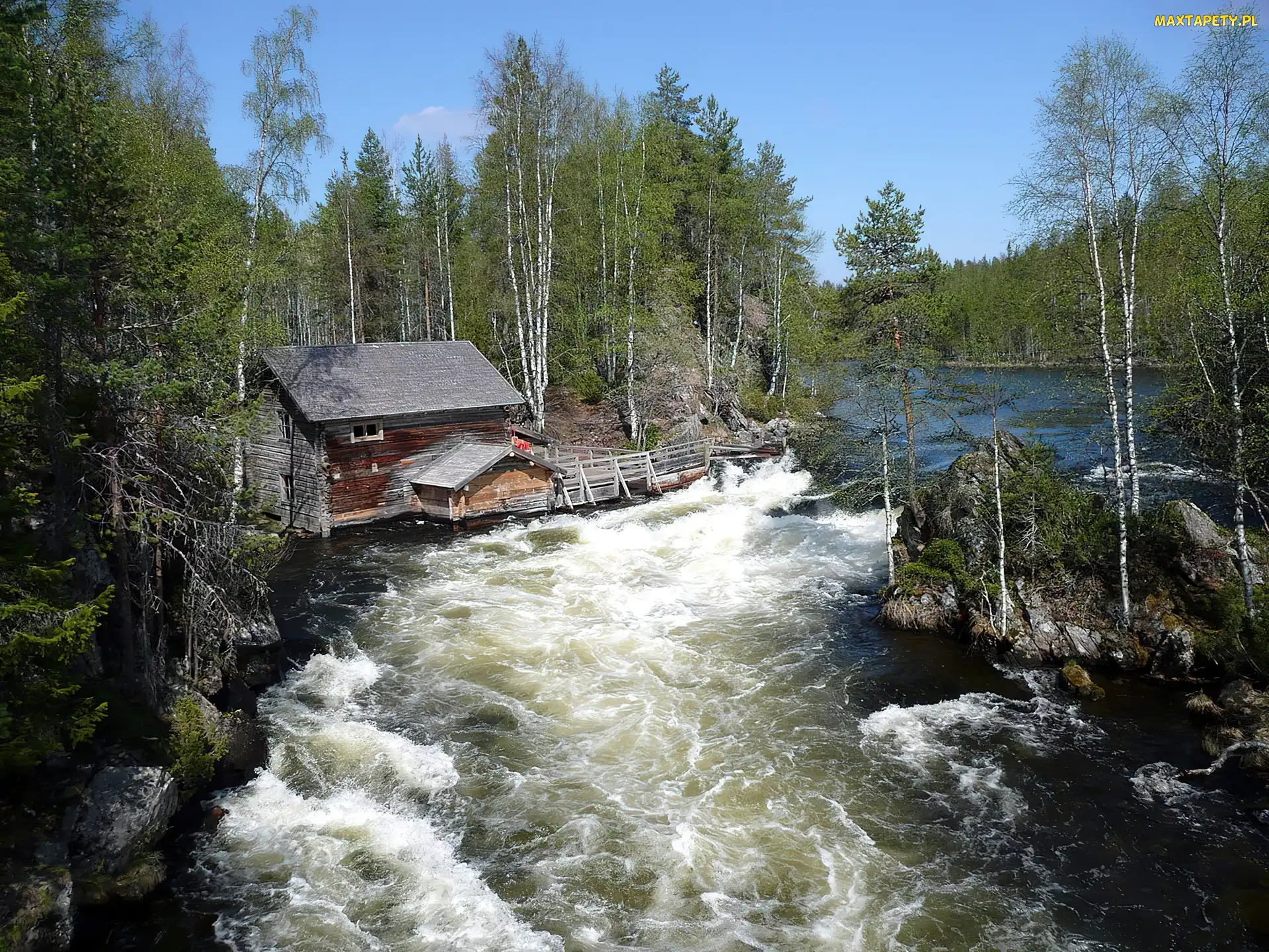 Domek, Brzegi, Park Narodowy Oulanka, Finlandia, Rzeka, Zalesione