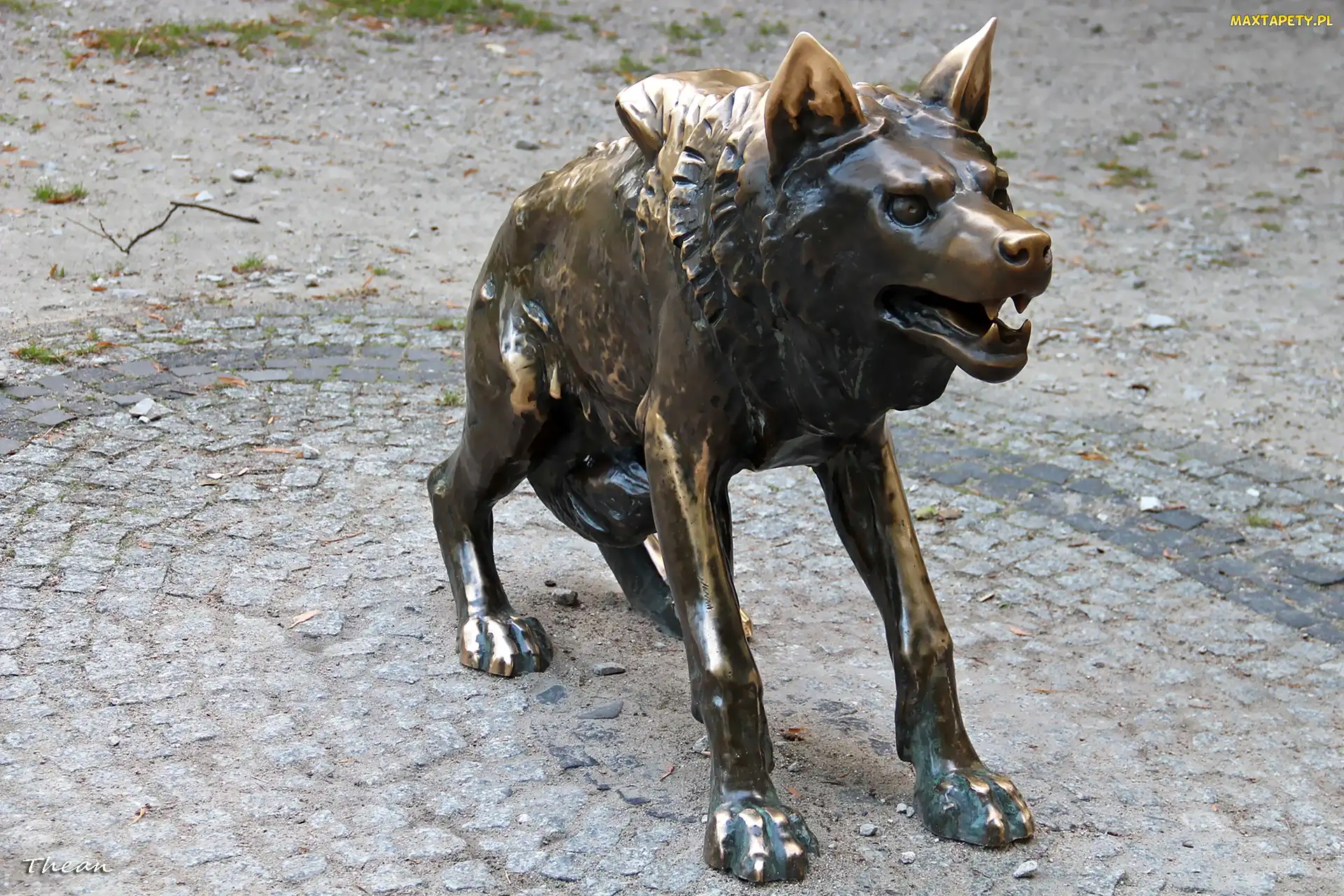 Poznań, Stare Zoo, Wilk, Rzeźba