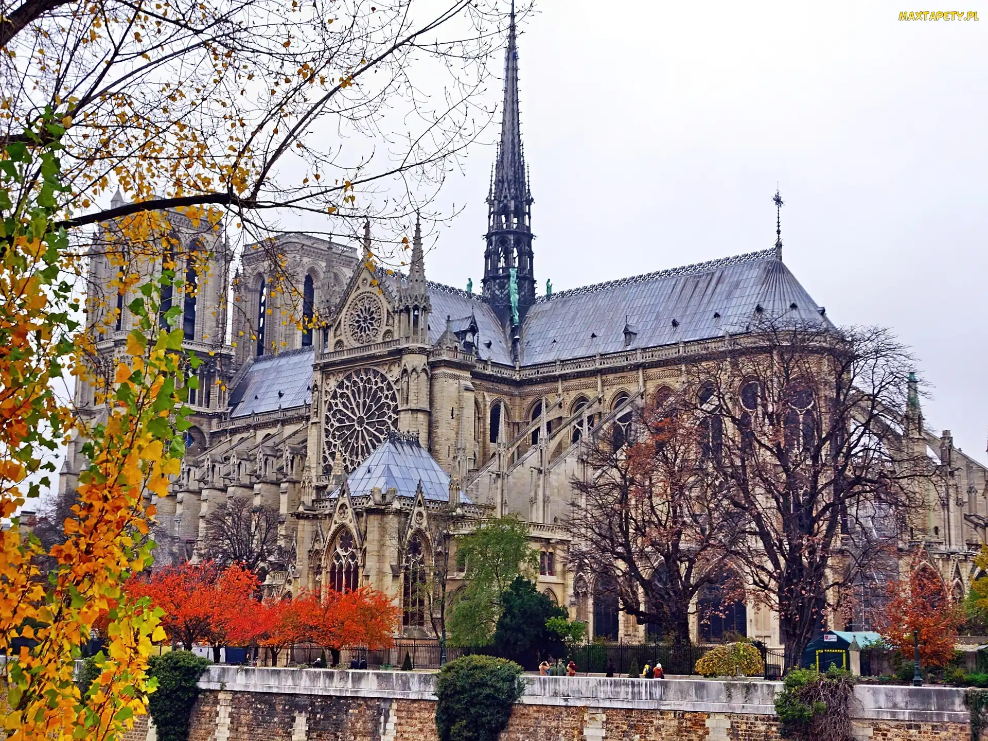 Francja, Paryż, Katedra, Notre Dame