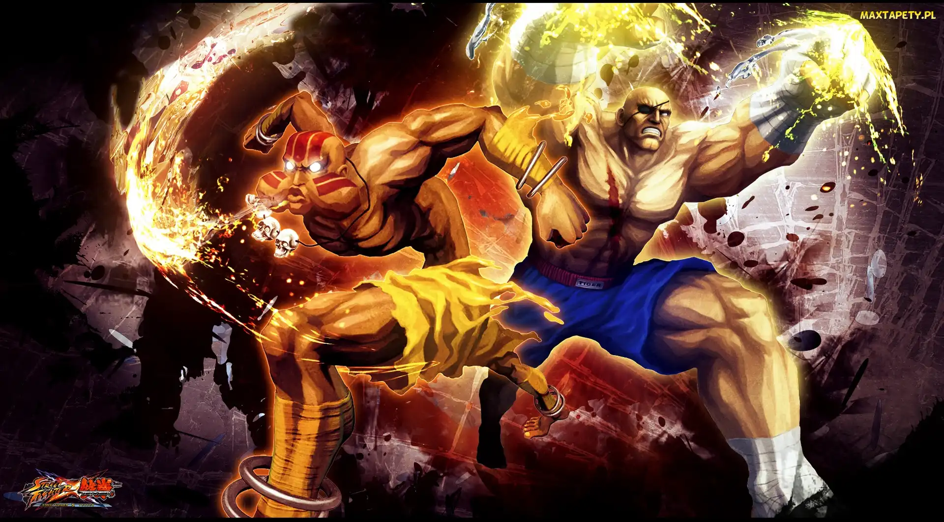 Dalsim, Sagat, Street Fighter X Tekken