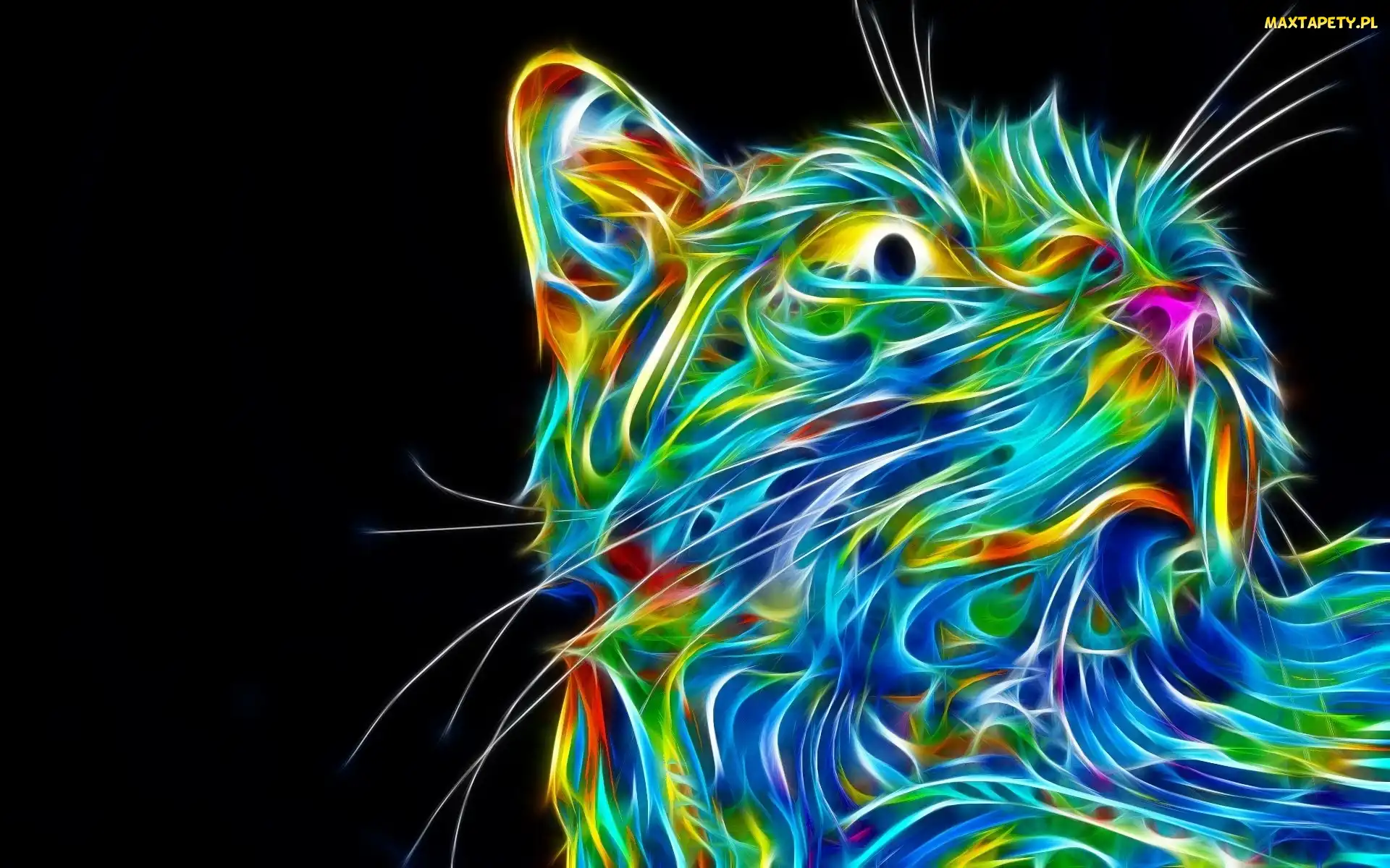 Fractalius, Grafika, Kot