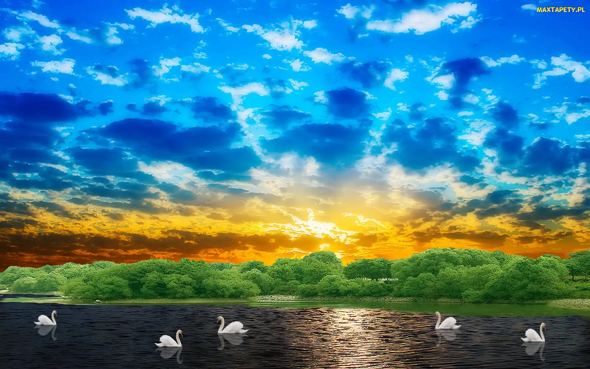 Słońca, Łabędzie, Jezioro, Chmury, Zachód