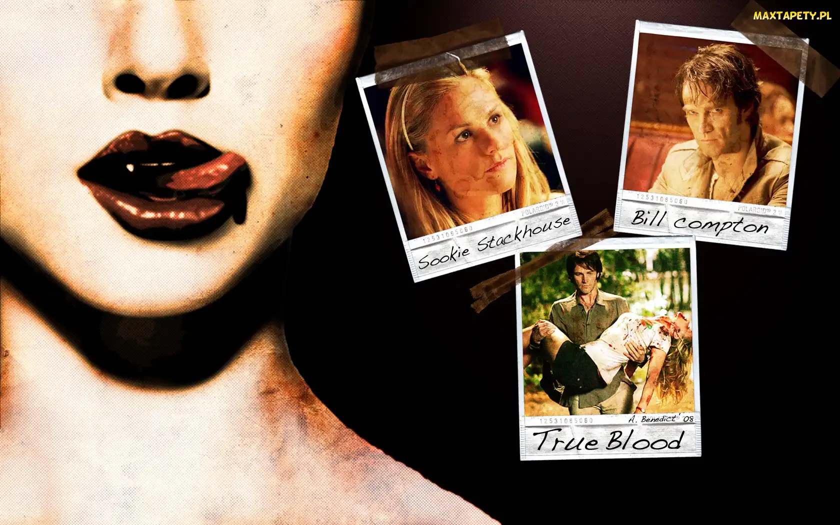 Czysta krew, True Blood