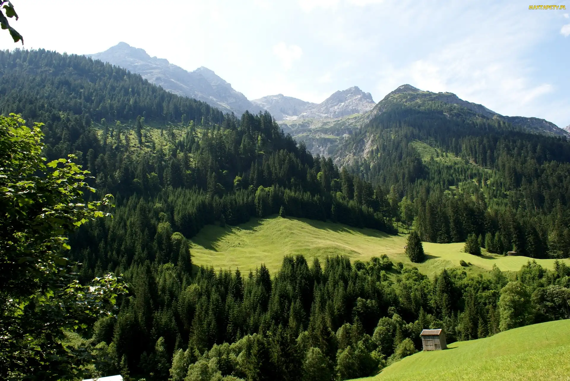 Góry, Łąka, Las