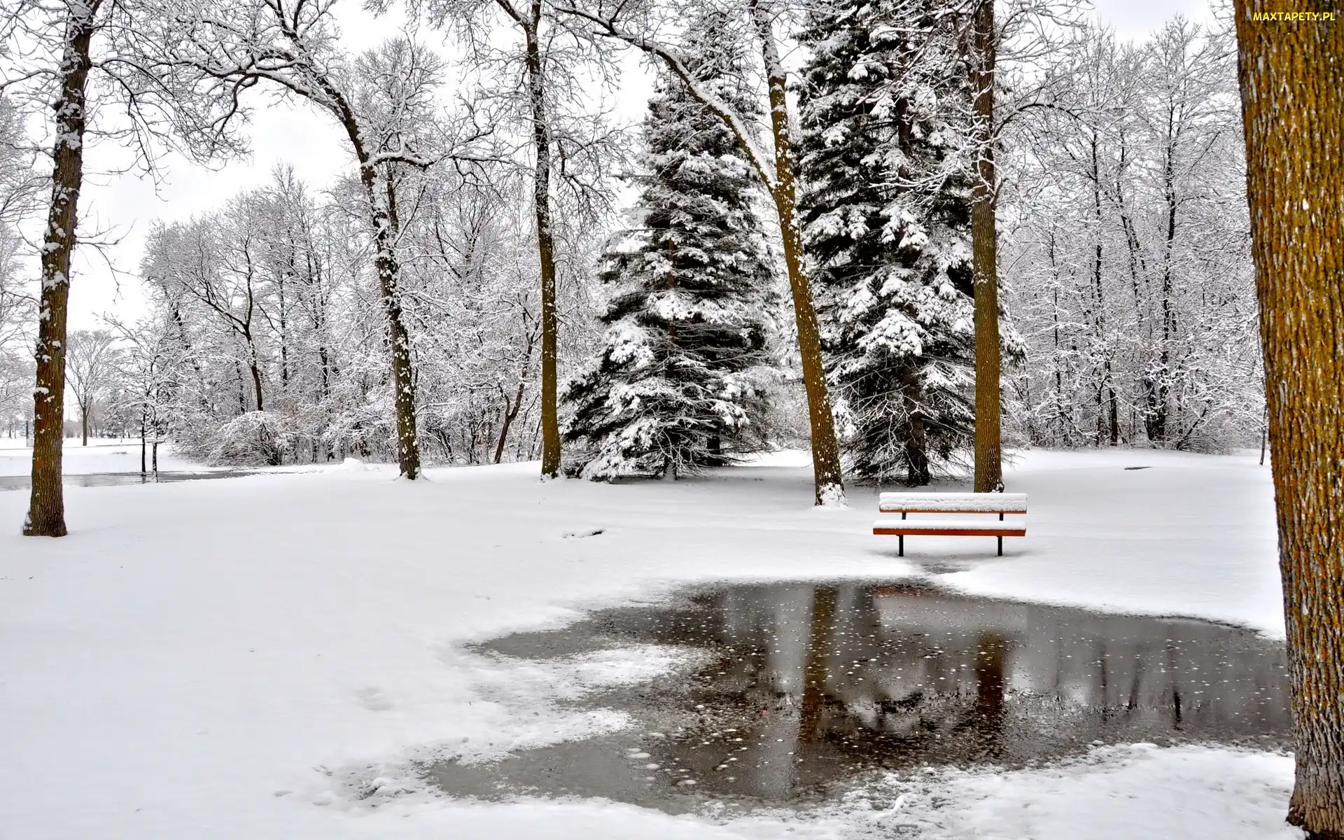 Zima, Ławka, Park, Drzewa