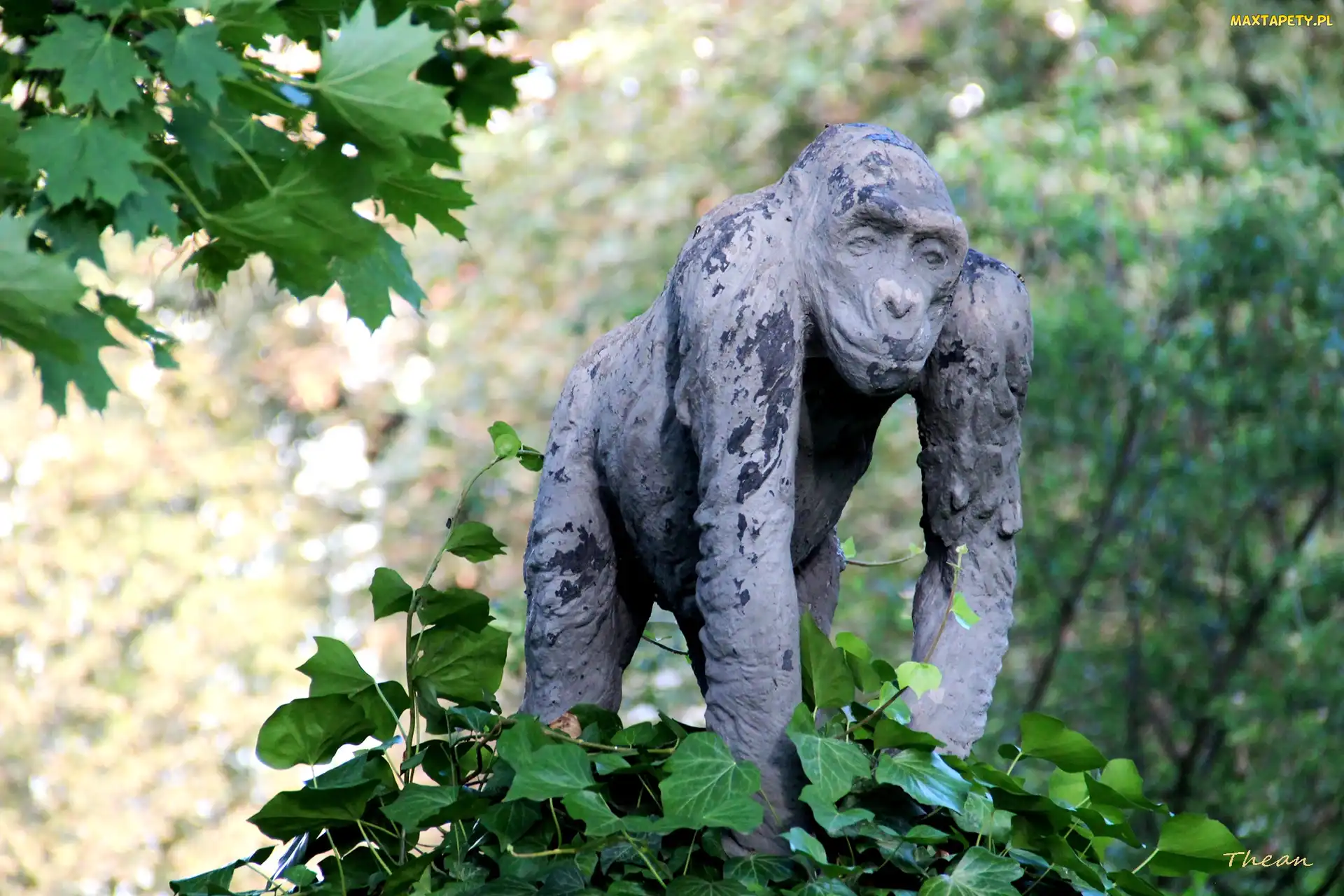 Posąg, Poznań, Stare Zoo, Goryl