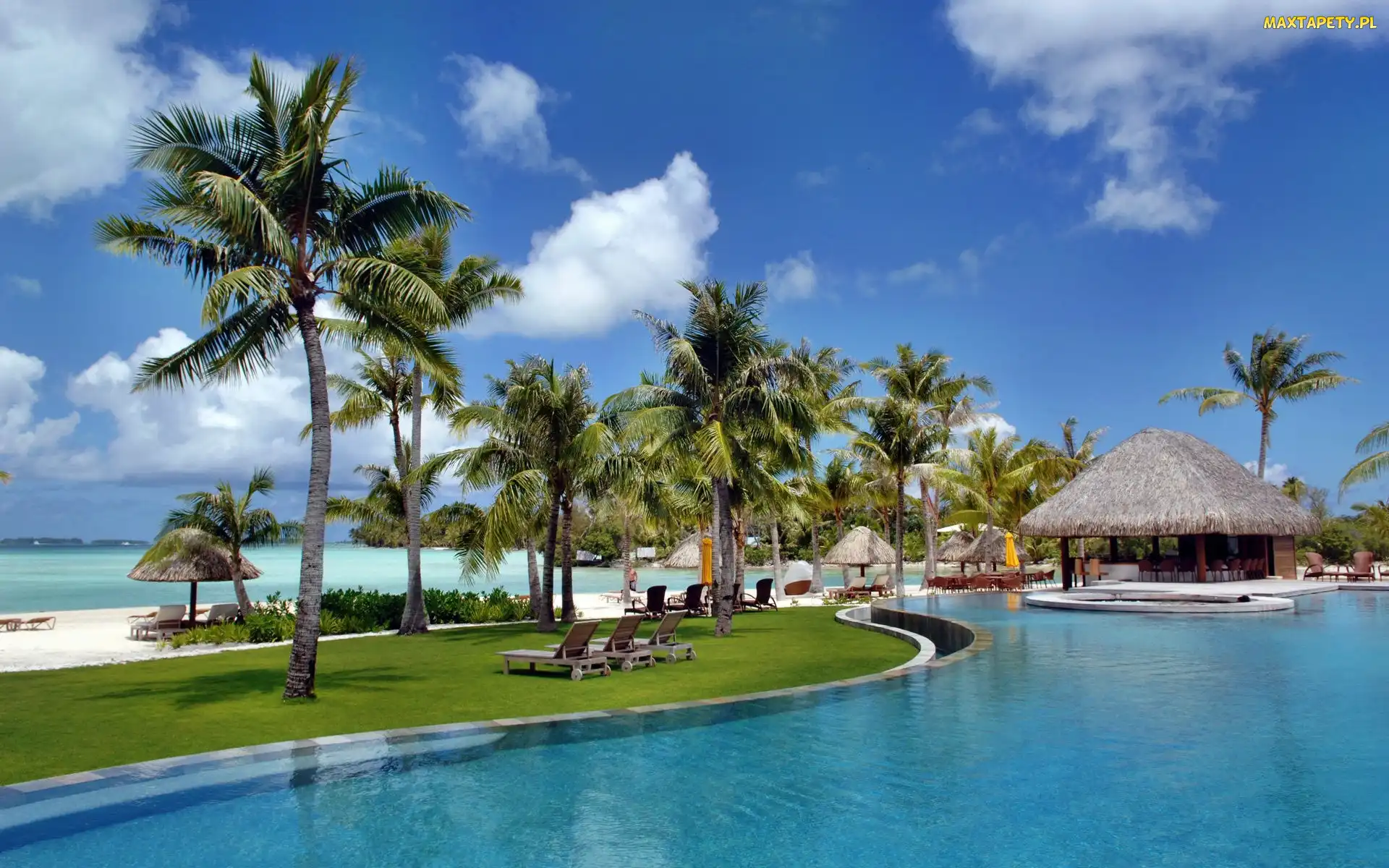 Ocean, Bora Bora, Basen, Kurort, Palmy