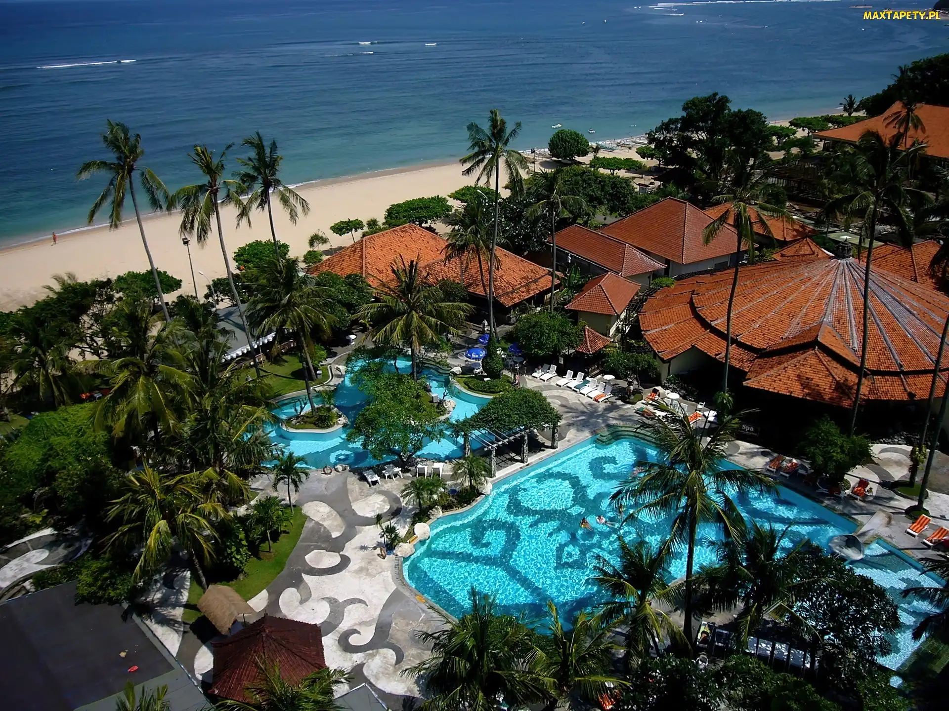 Morze, Palmy, Hotel, Basen