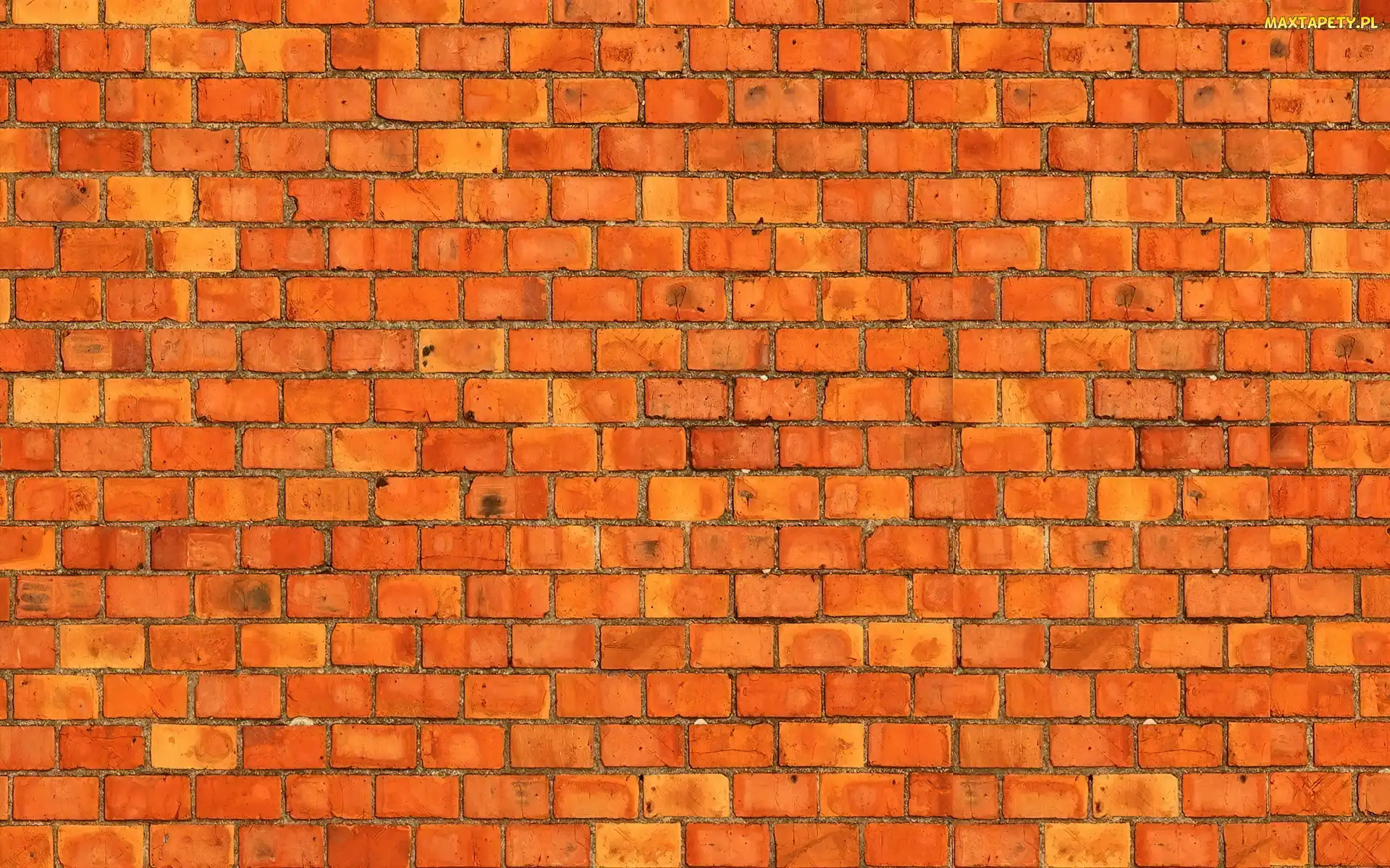Cegła, Mur