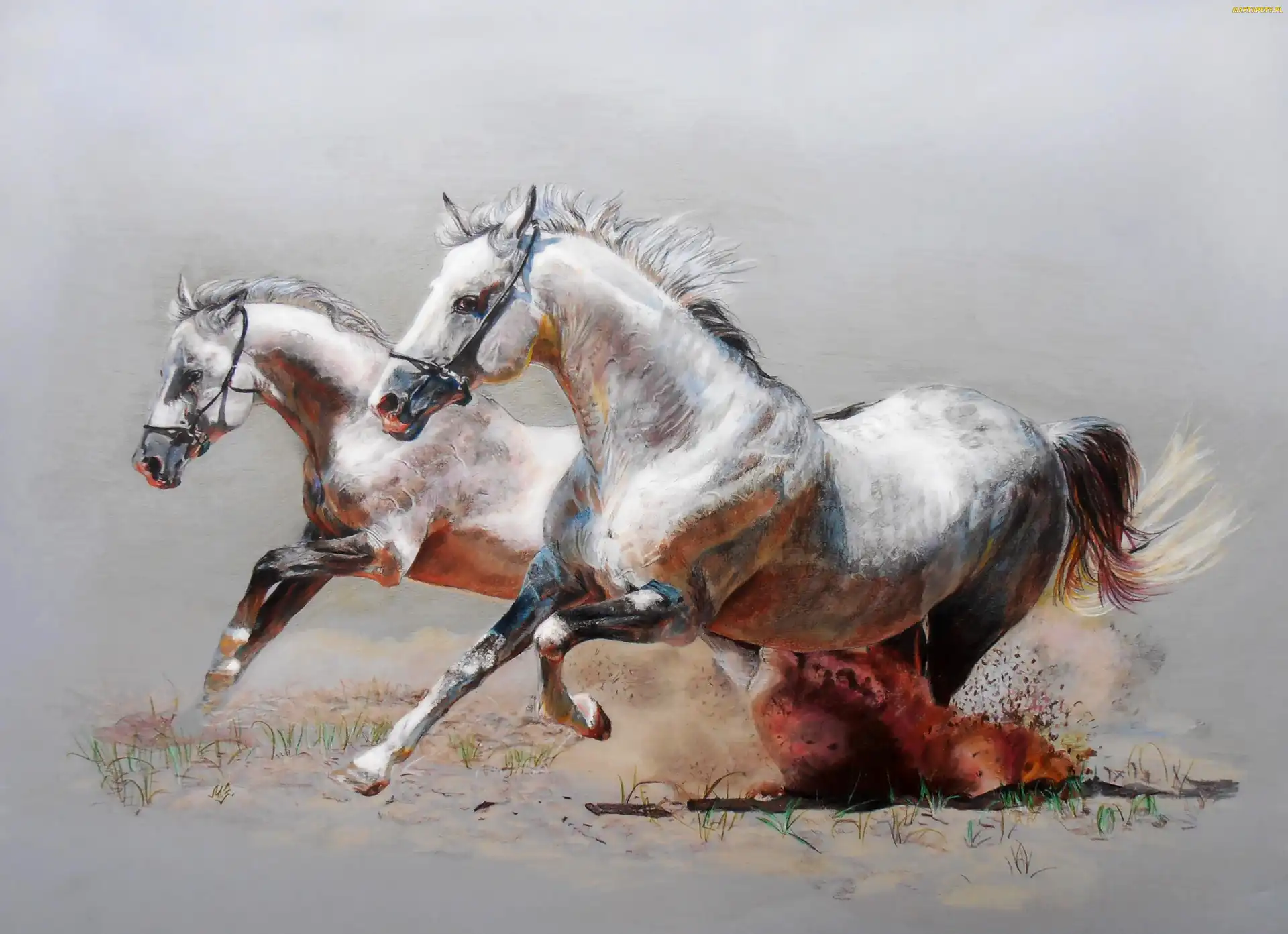 Konie, Galop, Obraz
