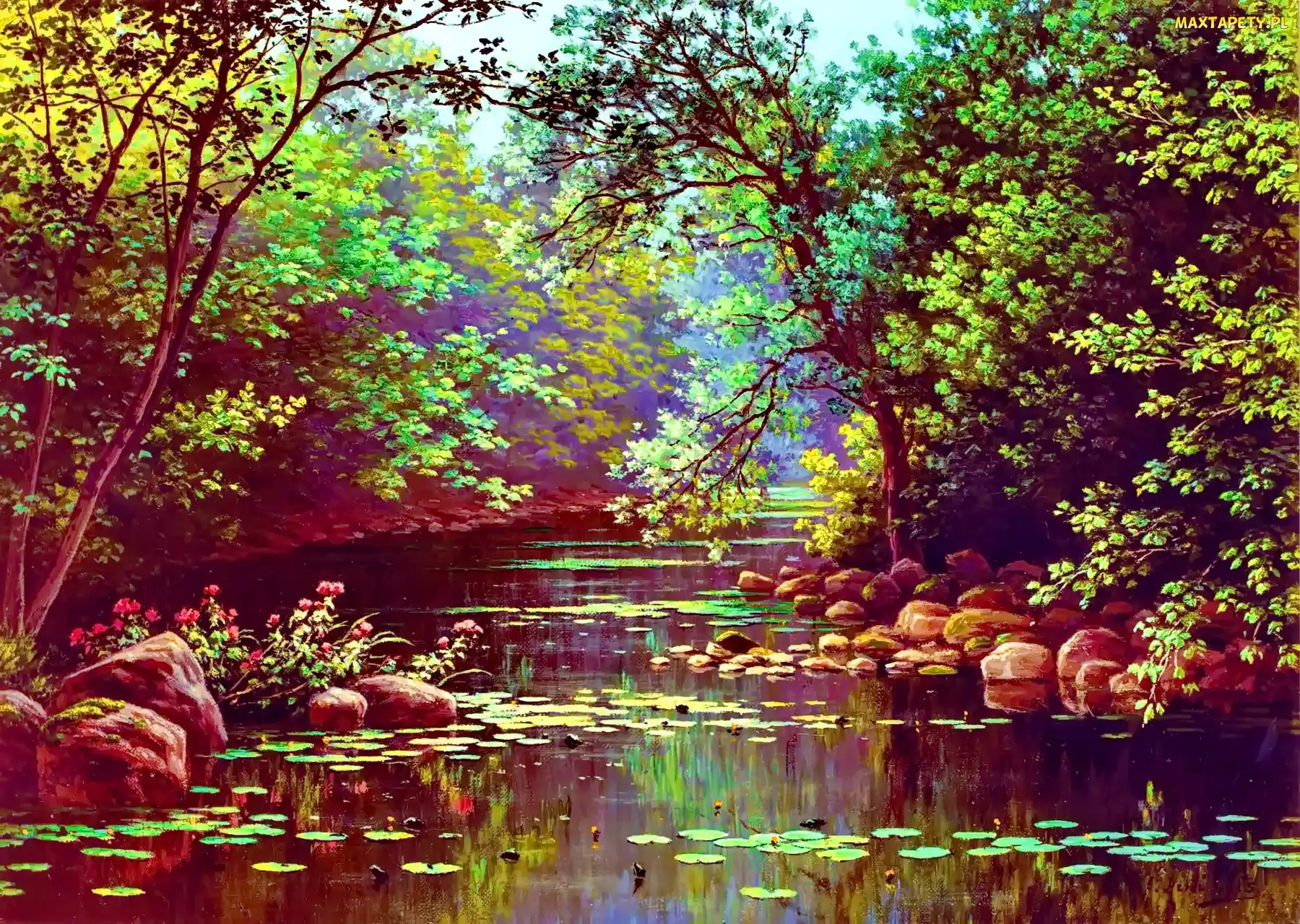 Rzeka, Kamienie, Las