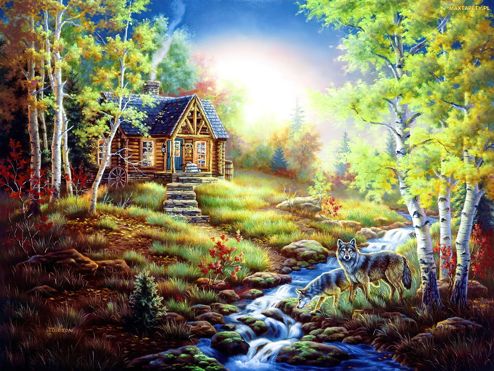 Rzeczka, Las, Domek