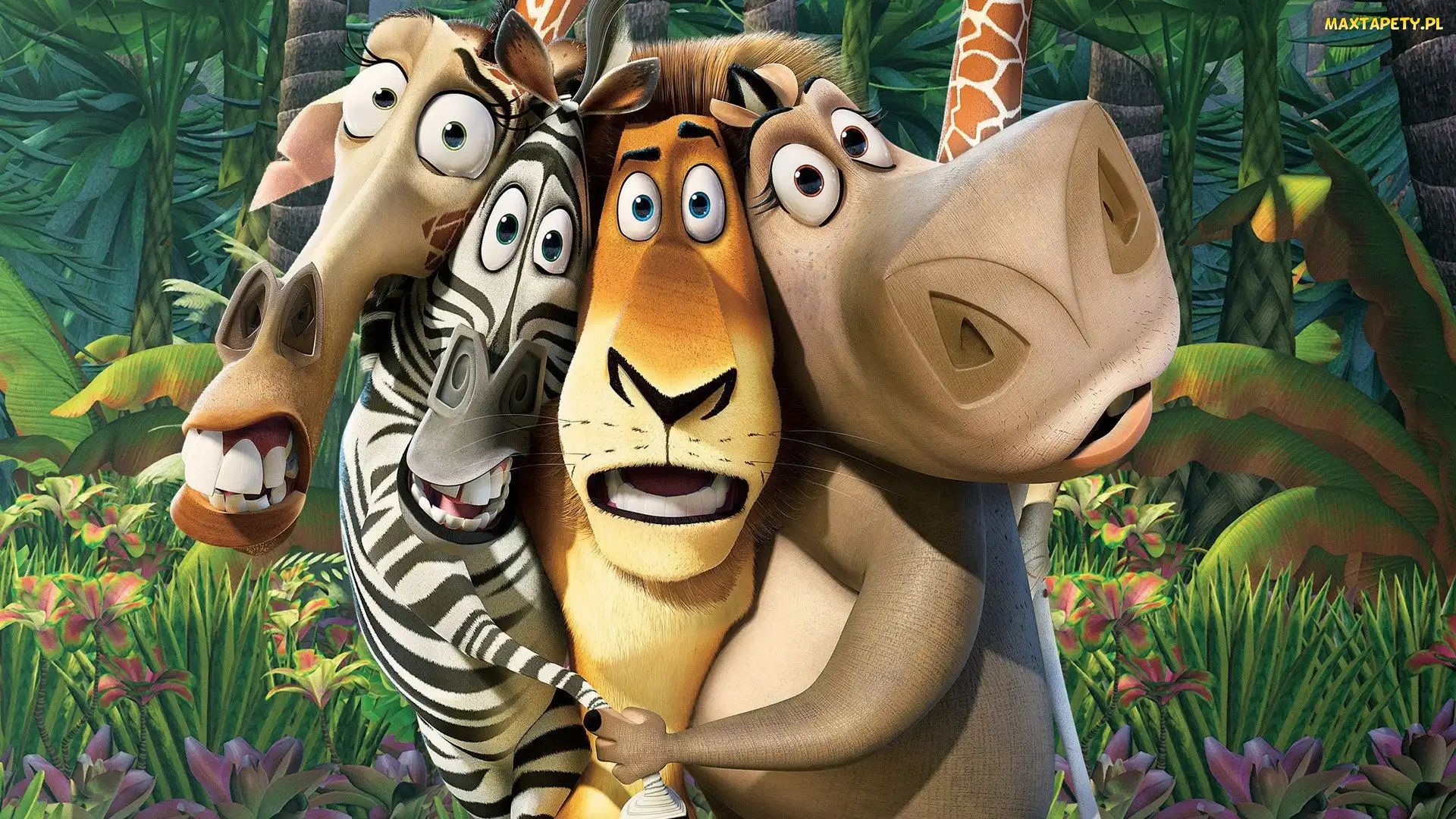 Postacie, Madagaskar, Film, Animowany