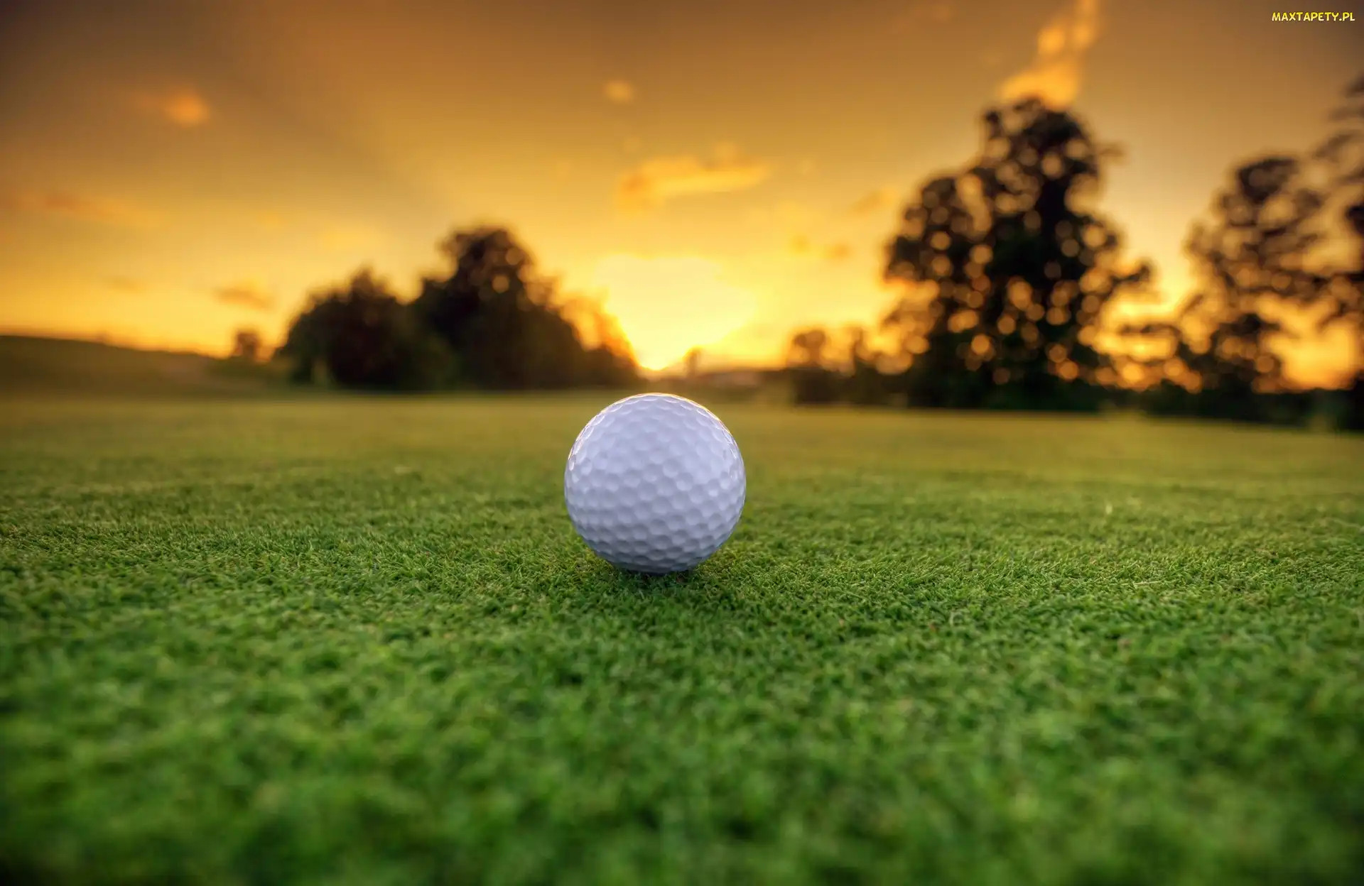 Golfowa, Piłka, Zachód Słońca, Trawa