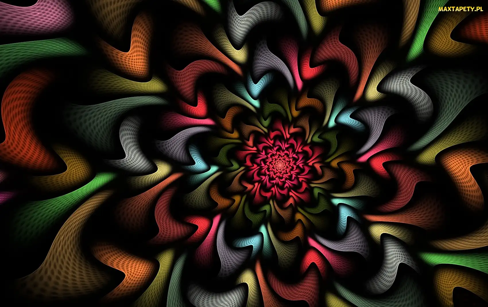 Abstrakcja, Grafika, Kwiat