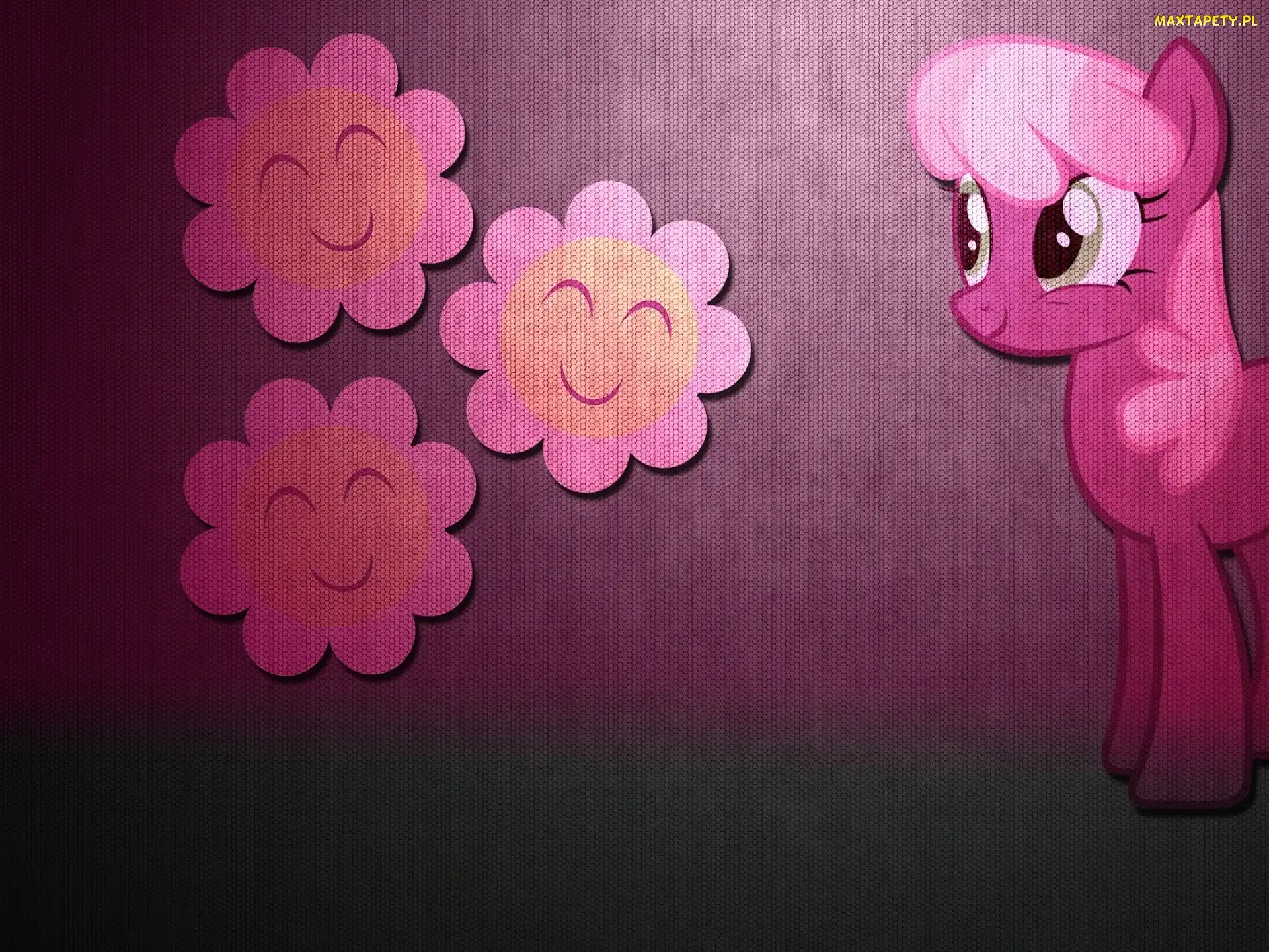 My Little Pony Przyjaźń To Magia, Cheerlee