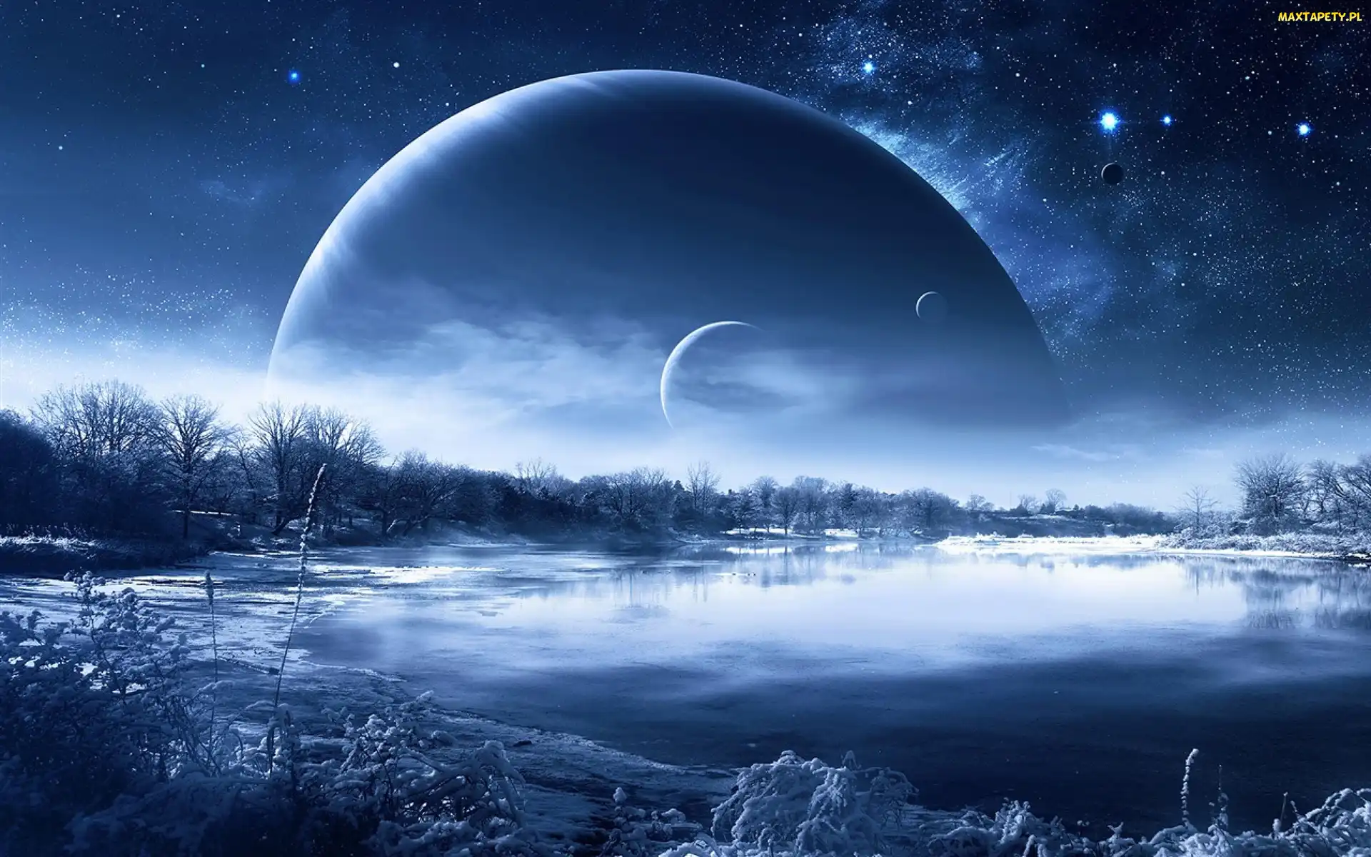 Zima, Planeta, Jezioro, Drzewa