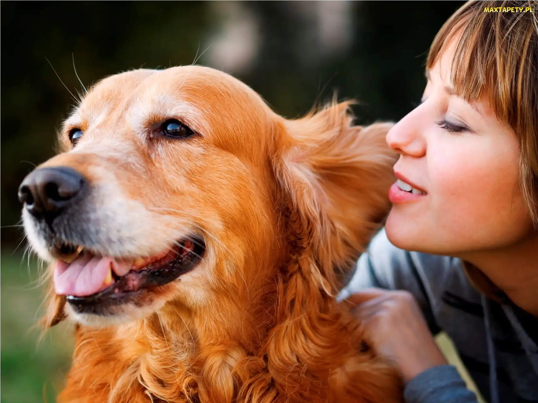 Dziewczyna, Retriever, Pies, Golden