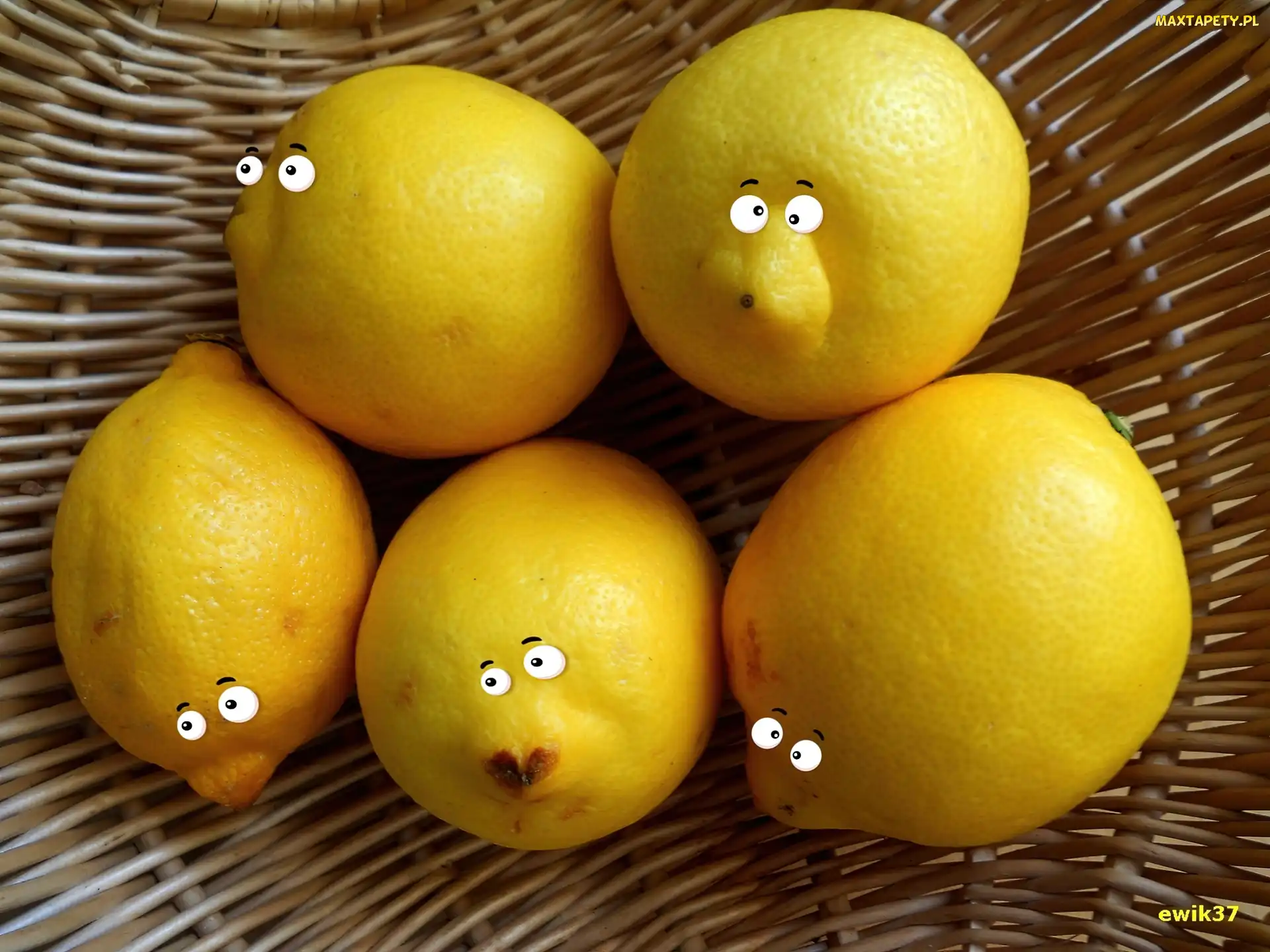 Cytryny, Koszyk, Oczy
