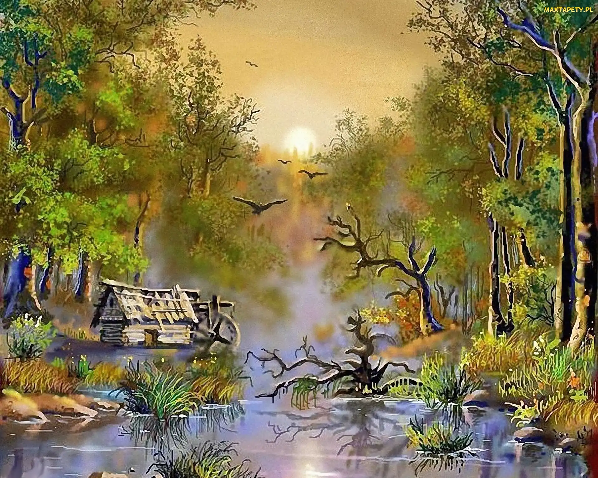 Las, Szopa, Bagno