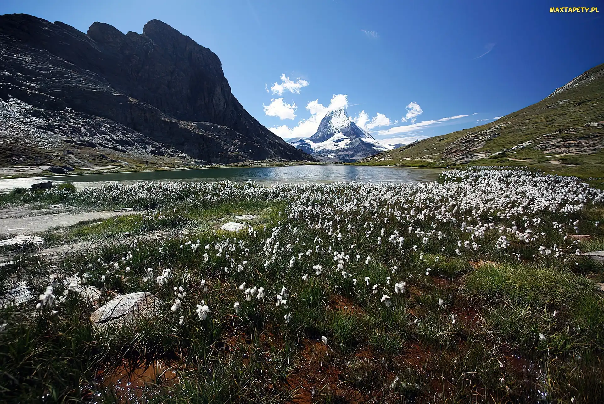Jeziorko, Szwajcaria, Matterhorn, Góry, Łąka