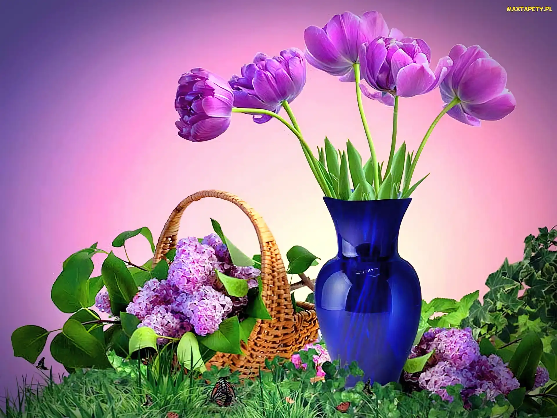 Tulipany, Bez, Wazon, Liliowy
