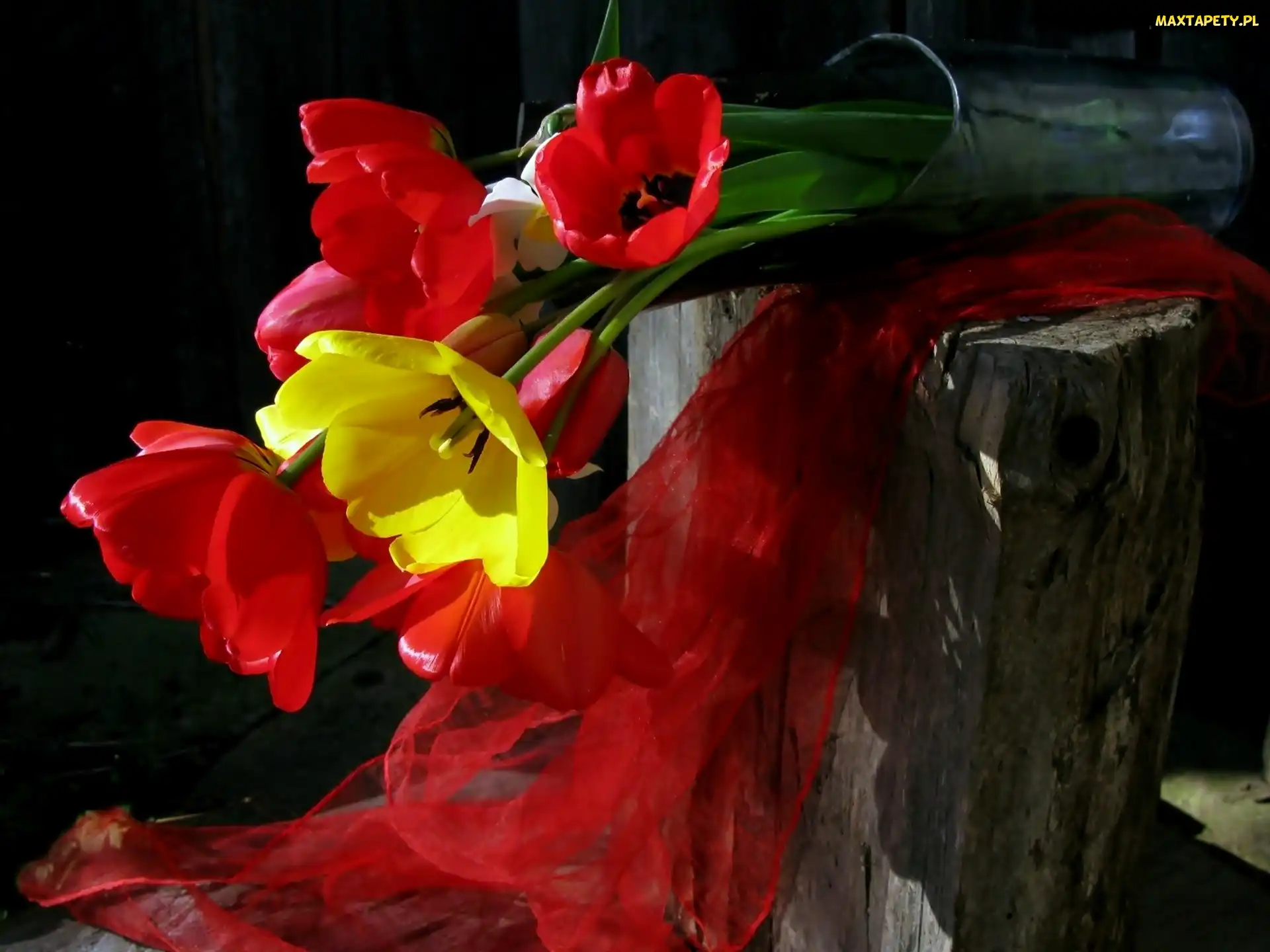 Bukiet, Kompozycja, Tulipany