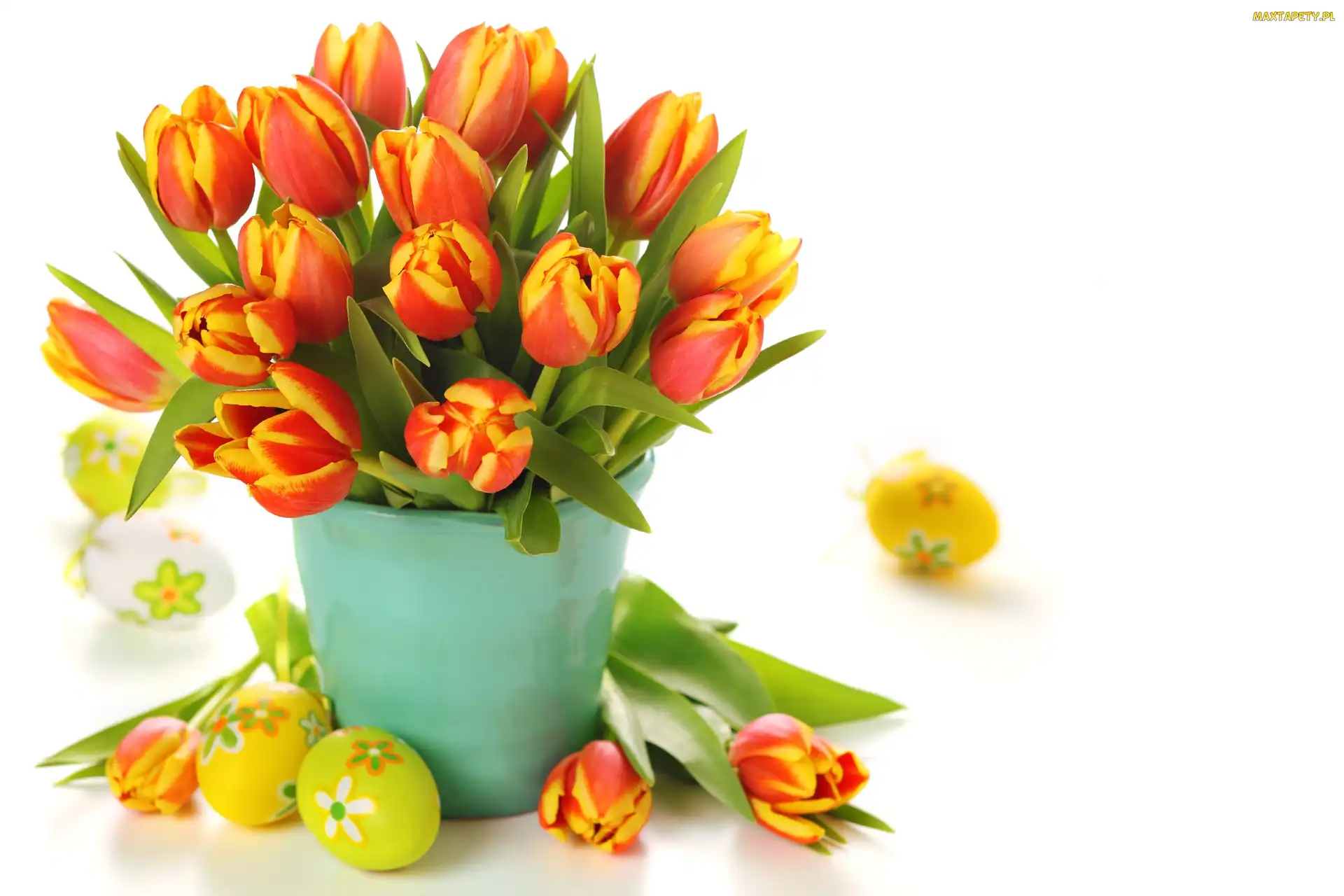Jajka, Tulipany, Wielkanoc