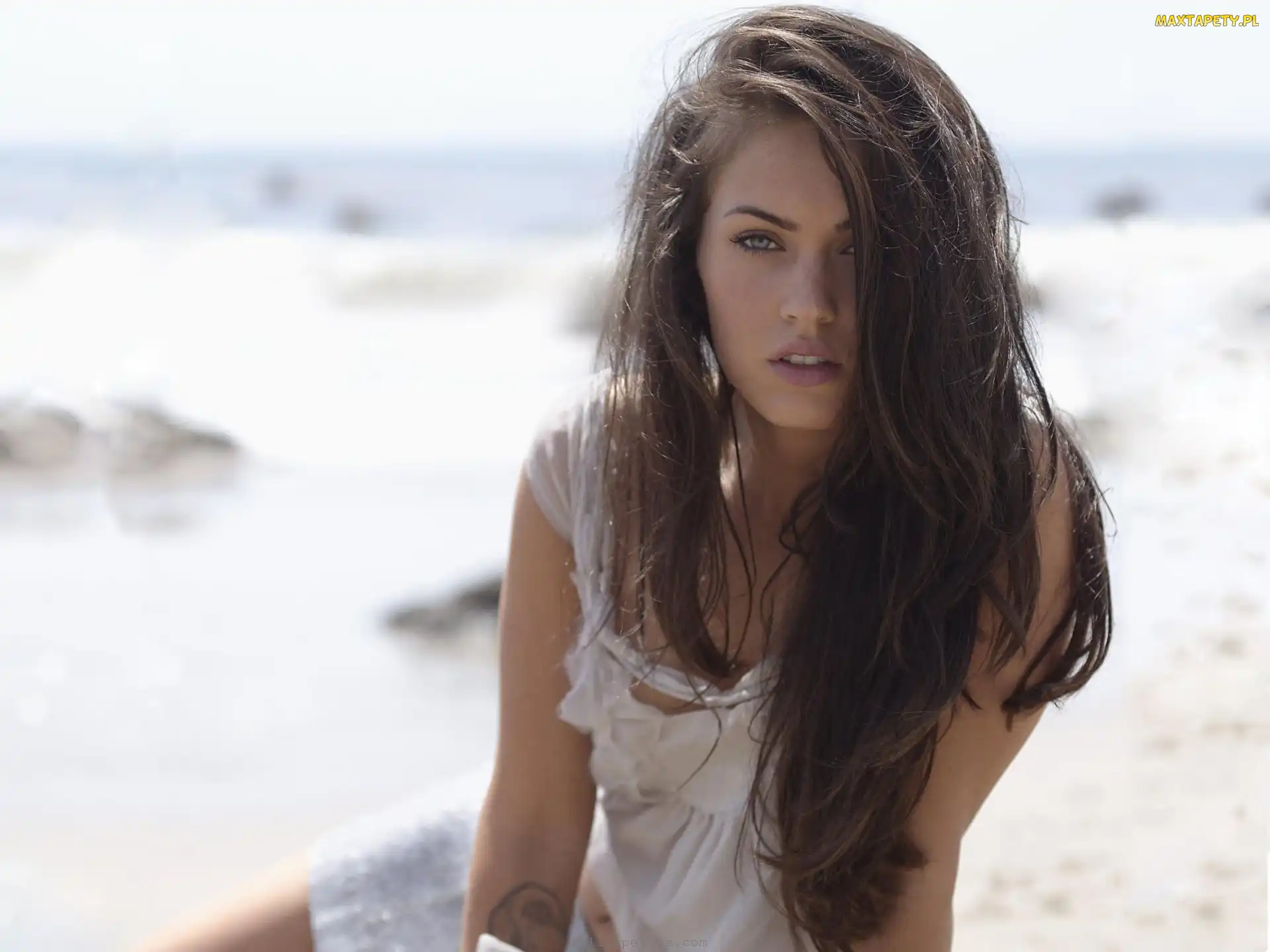 Aktorka, Modelka, Megan Fox